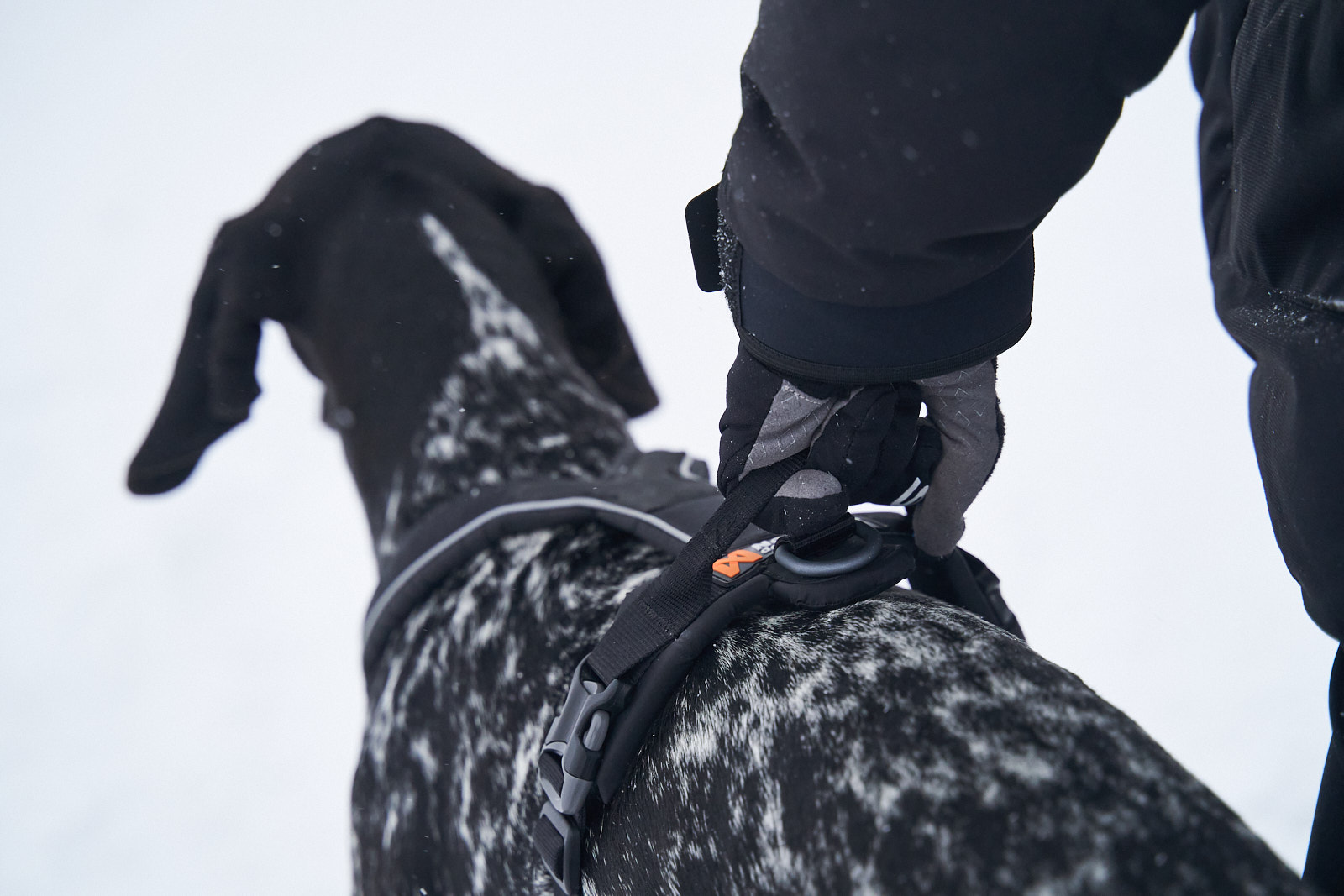 Non-stop dogwear Line Harness Grip, black