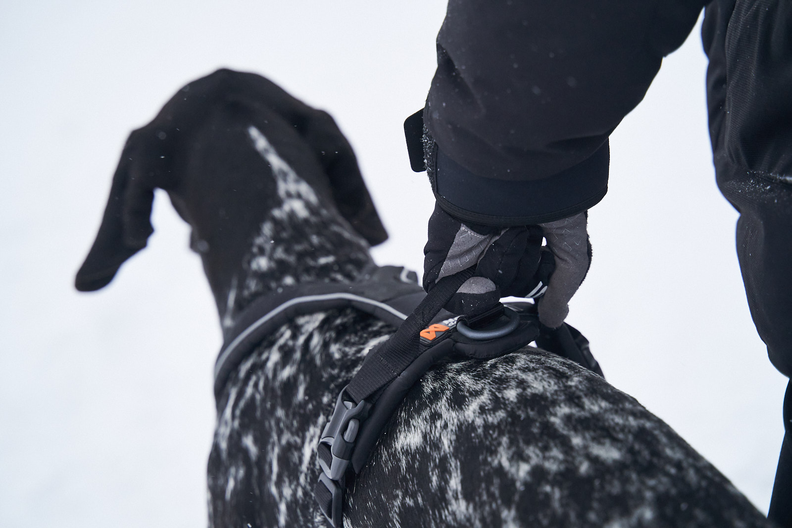 Non-stop dogwear Line Harness Grip black