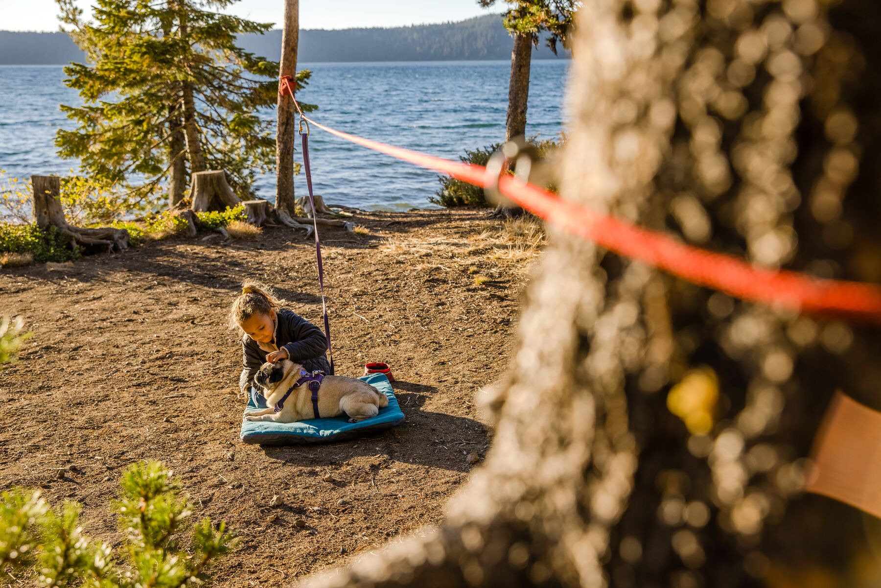 RuffWear Knot-a-Hitch™ Red Clay