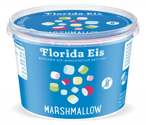 Florida Eis (für Menschen) 500ml