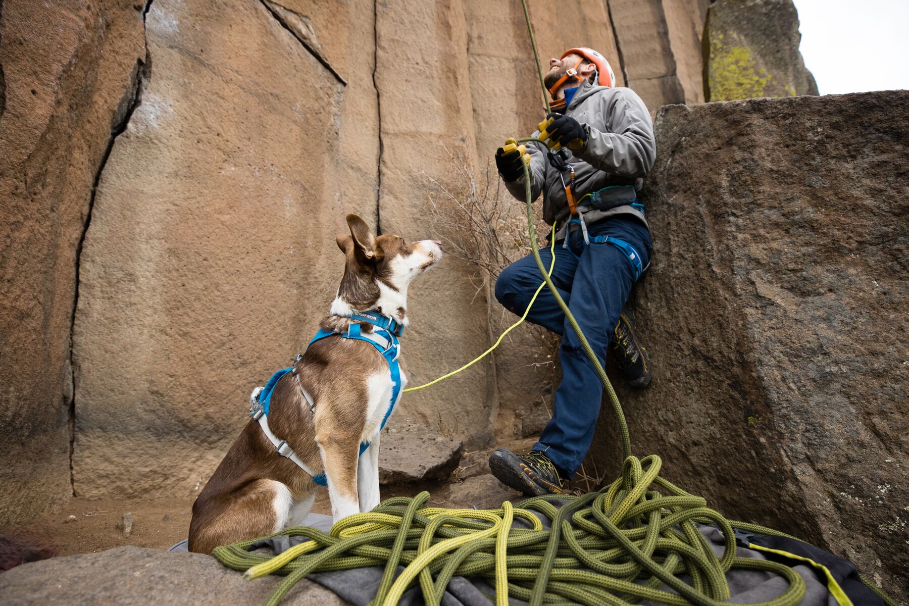 RuffWear Hi & Light™ Collar