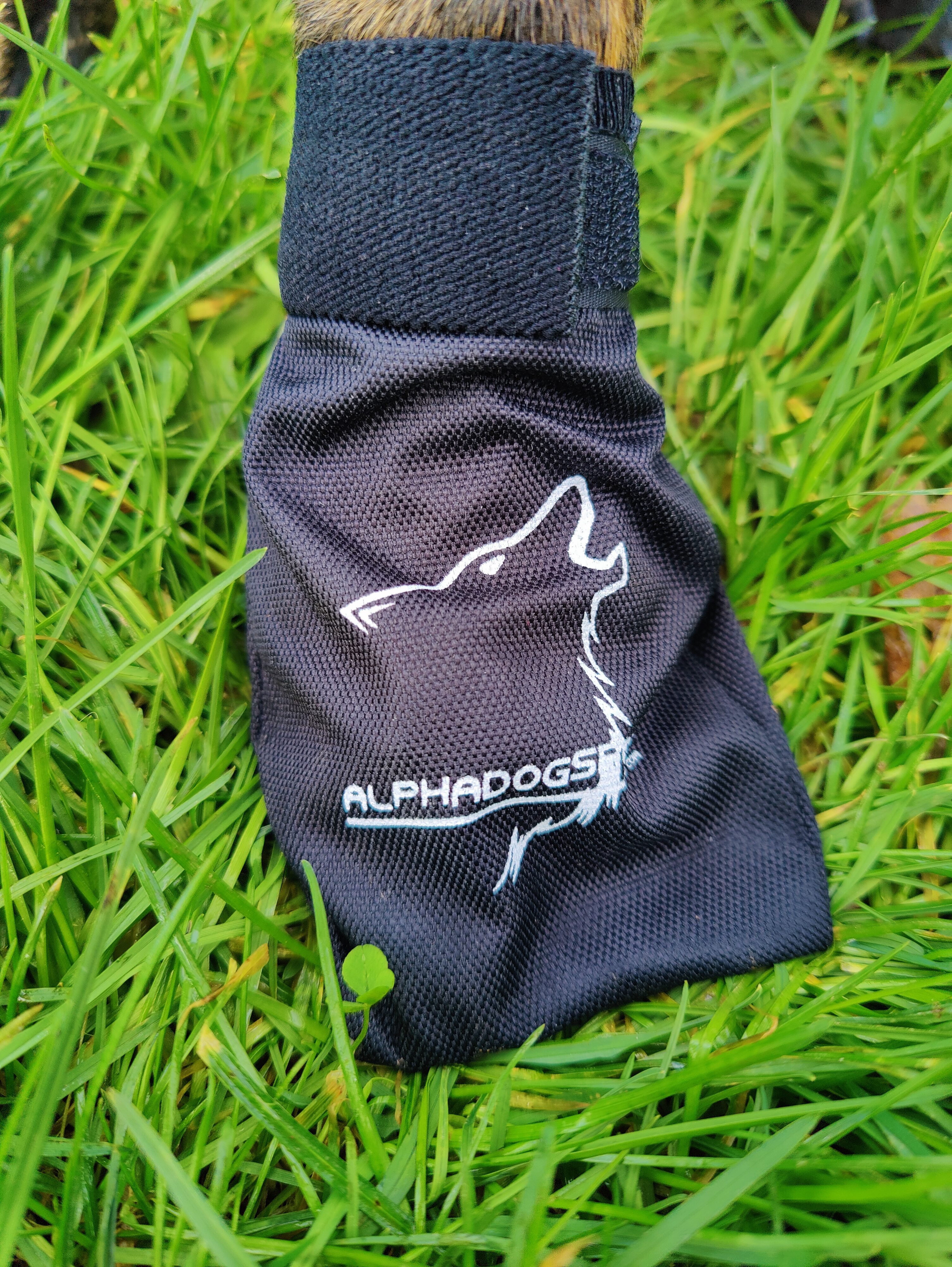 Alphadogsport HundeBootie (1 Stück)