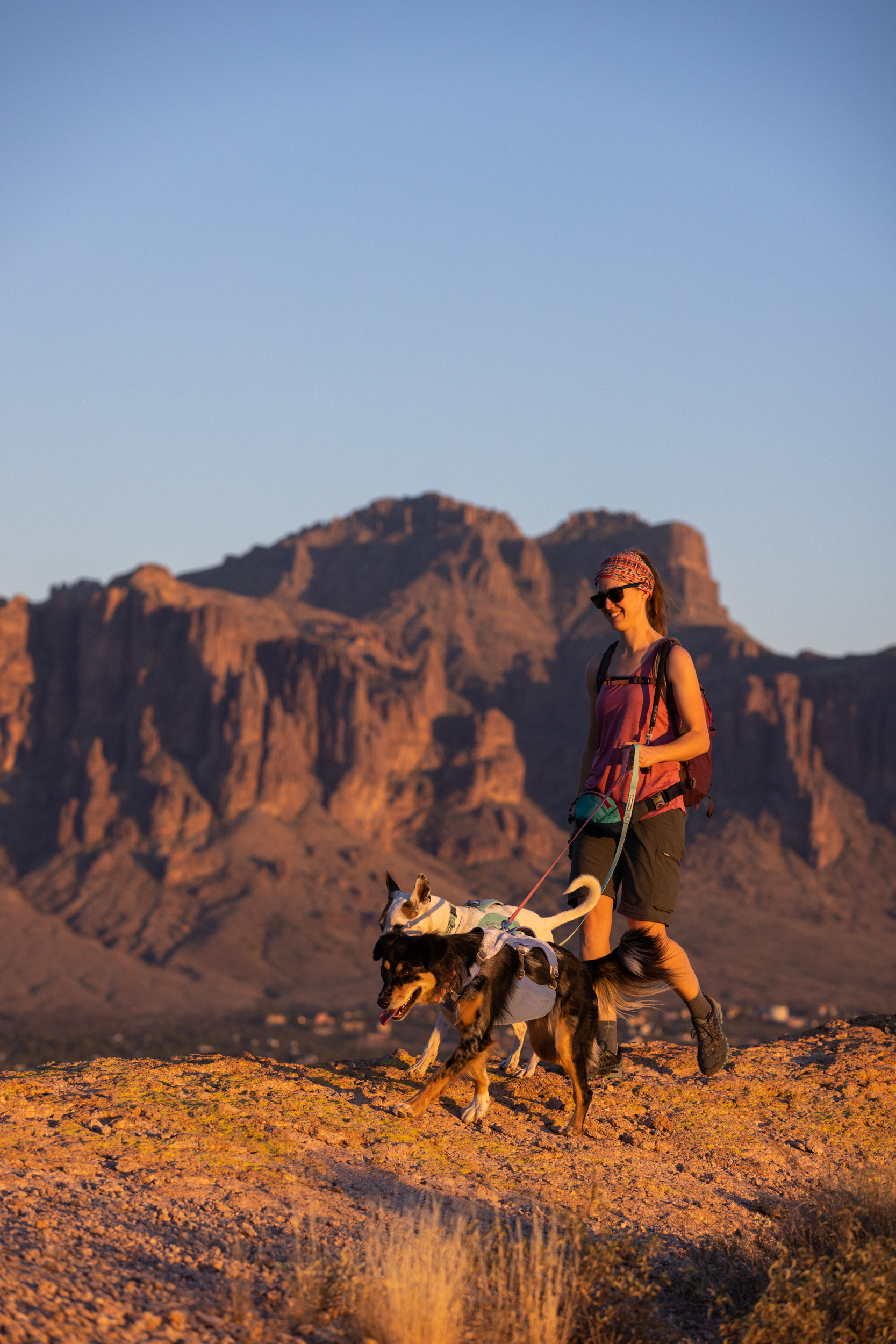 RuffWear Swamp Cooler™ Harness Heliotrope Purple