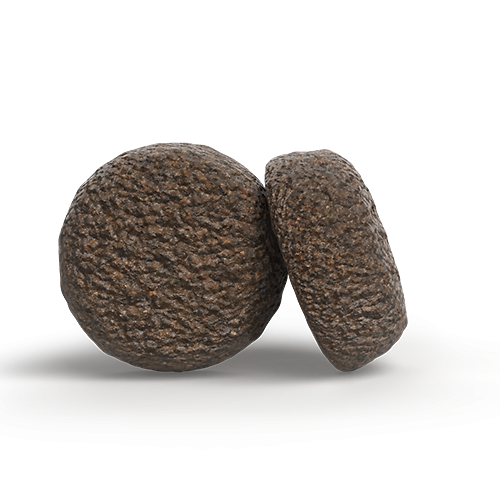 Josera Salmon & Potato