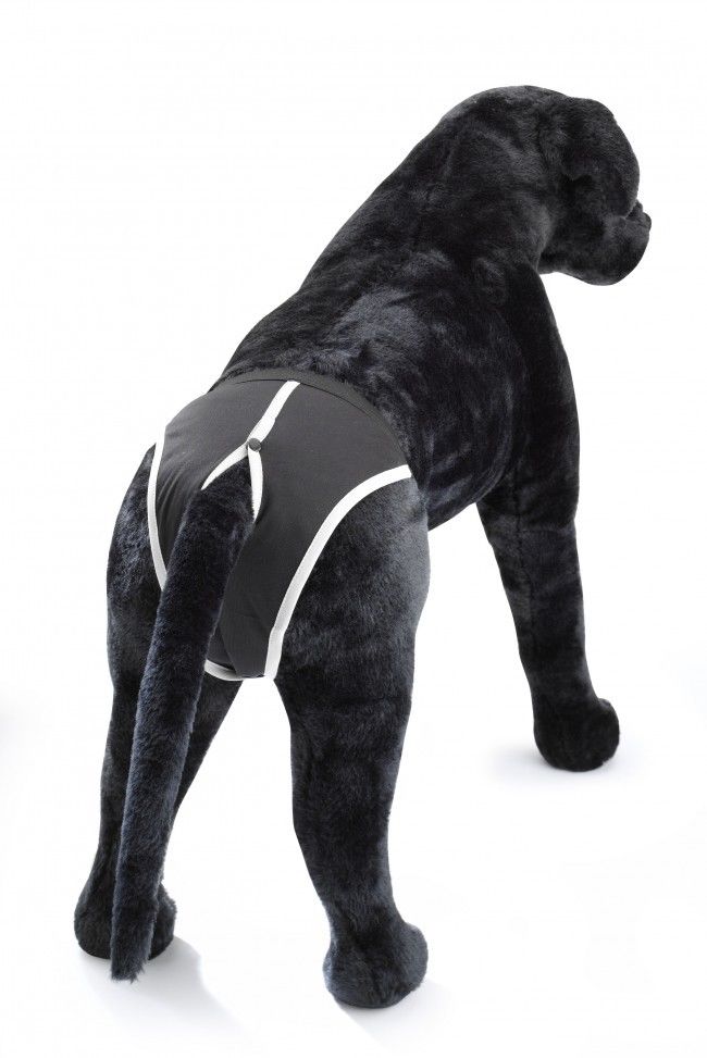 Europet Dog Pants Classic