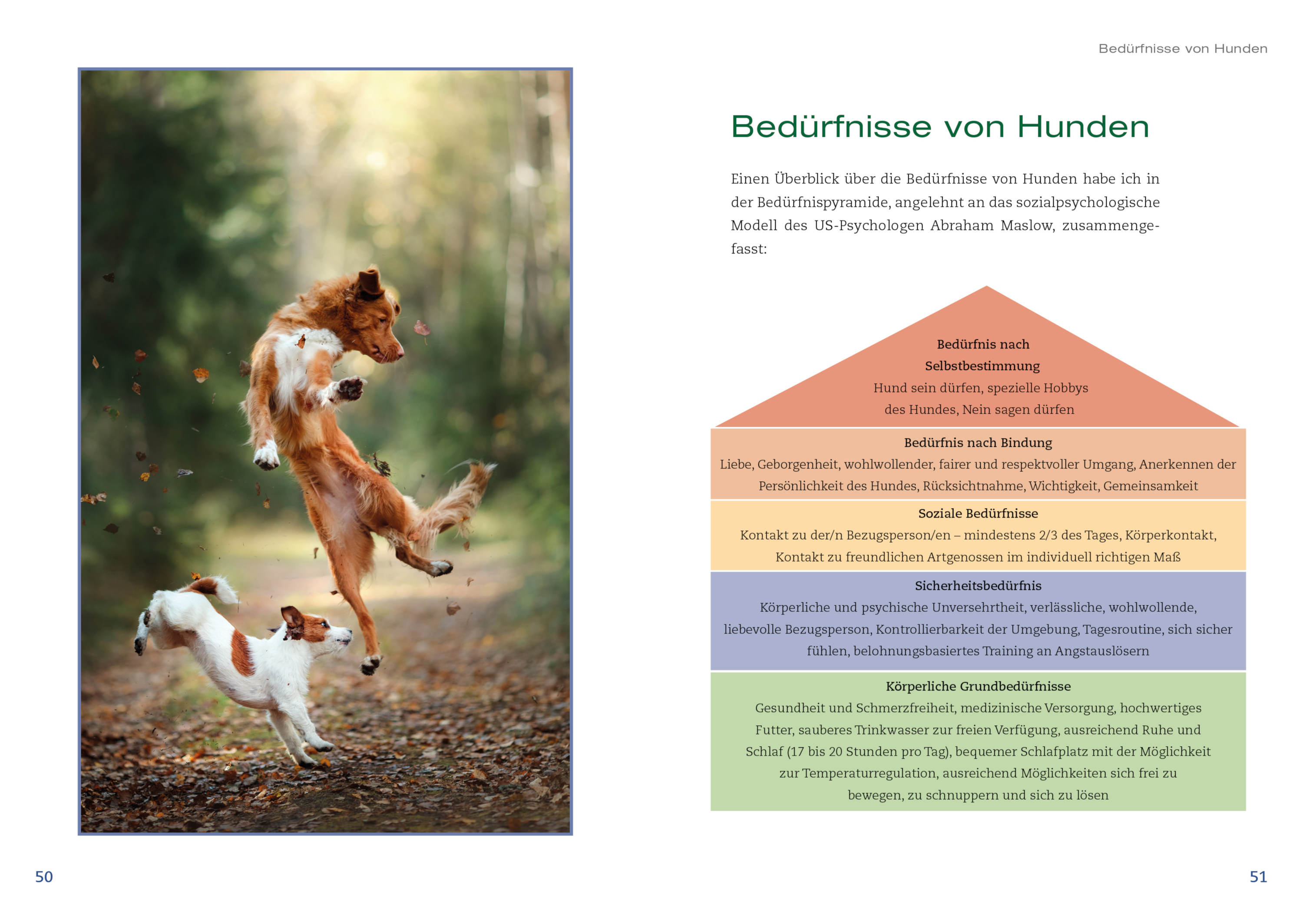 Animal Learn - Hunde achtsam führen [Maria Rehberger]