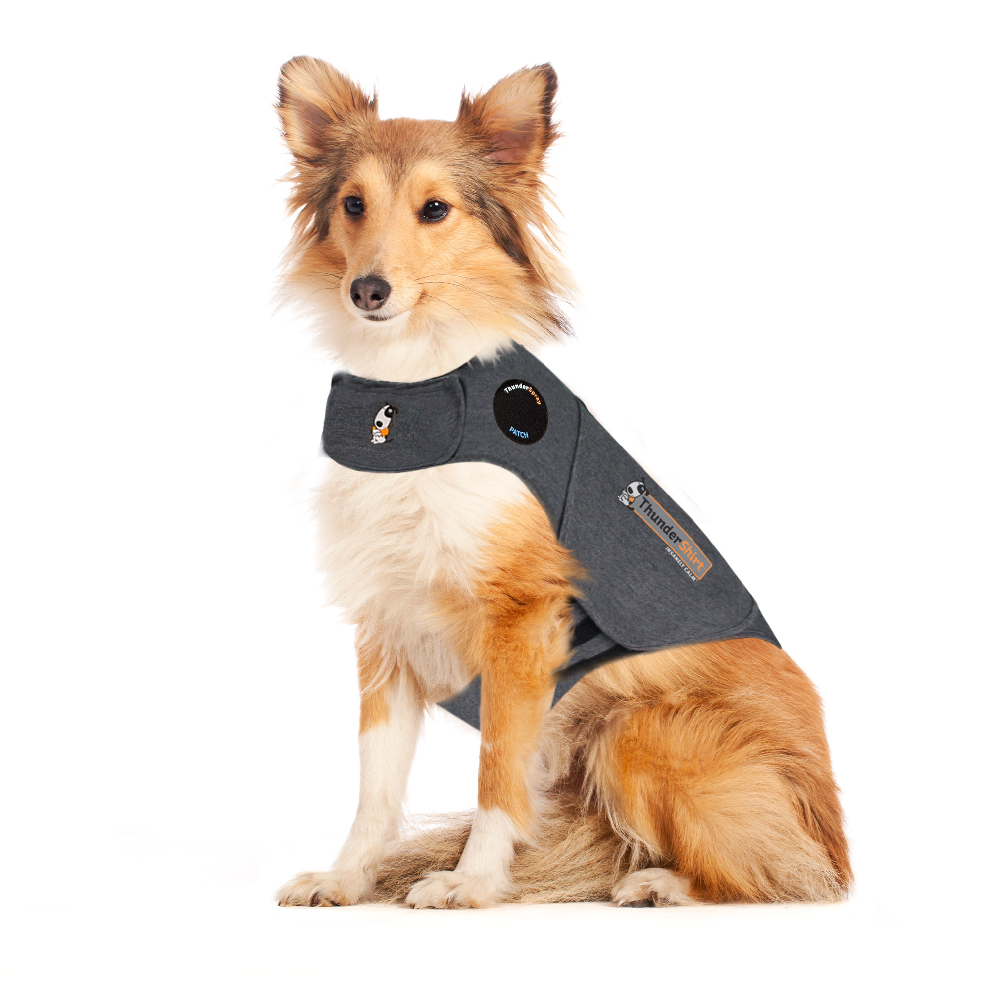 Thundershirt (für Hunde)