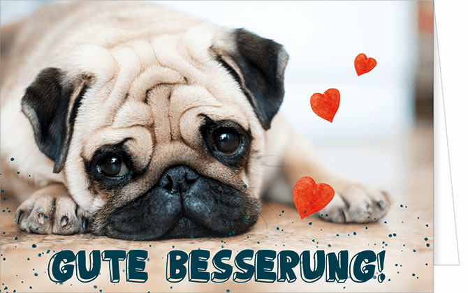 Pfotenglück Grußkarte (verschiedene Motive) Pfotenglück Grußkarte (verschiedene Motive)