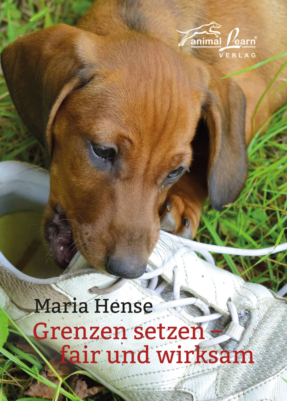 Grenzen setzen - fair und wirksam [Maria Hense]