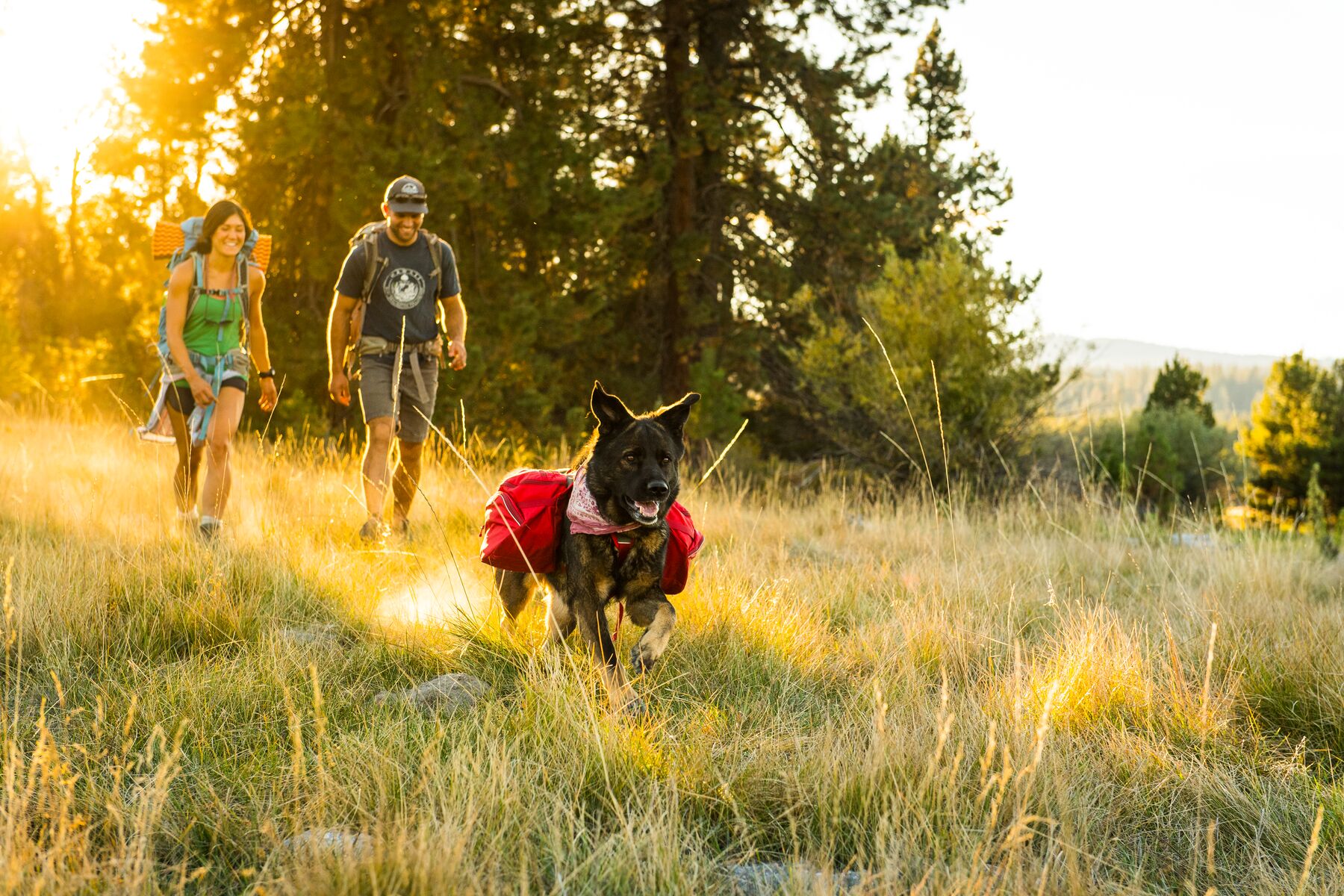 Ruffwear Palisades Pack Red Currant