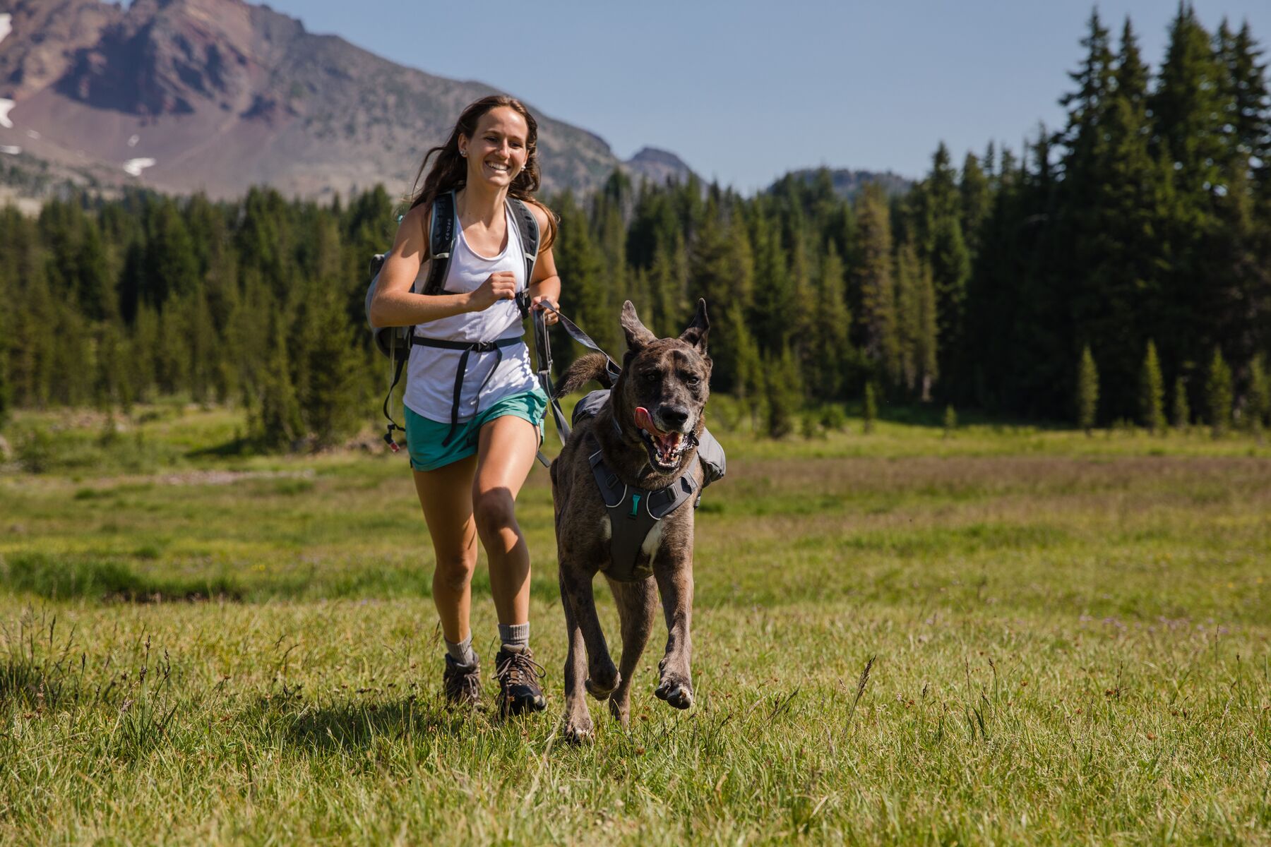 RuffWear Switchbak™ Harness Granite Grey