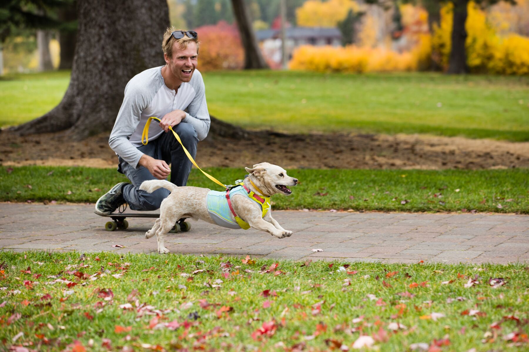 RuffWear Hi & Light™ Harness Lichen Green