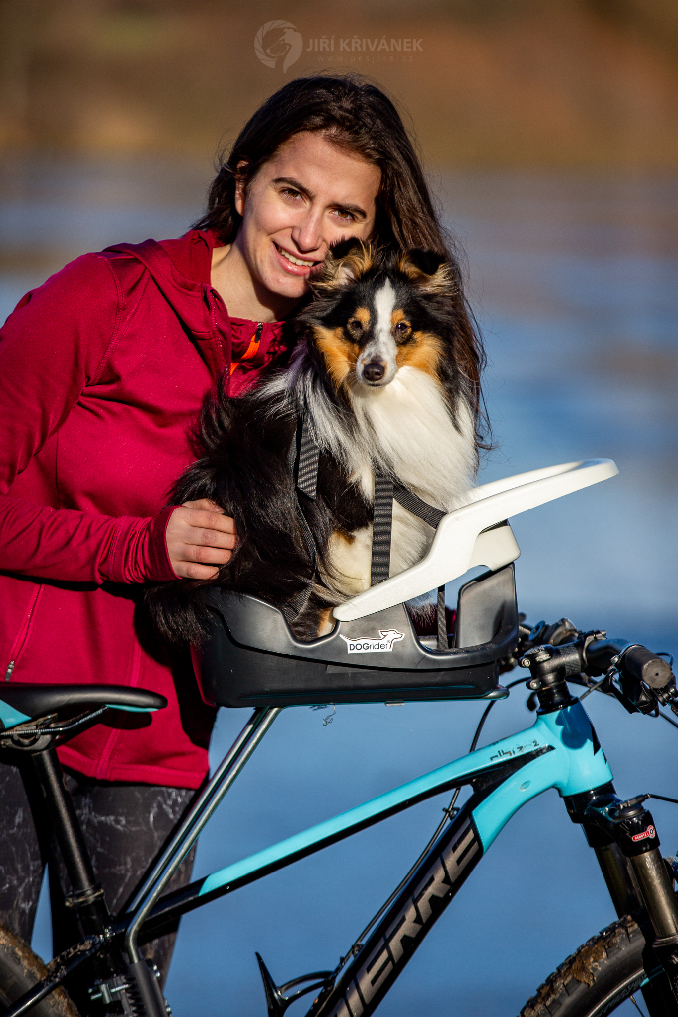 Dogrider® Fahrrad-Hundesitz