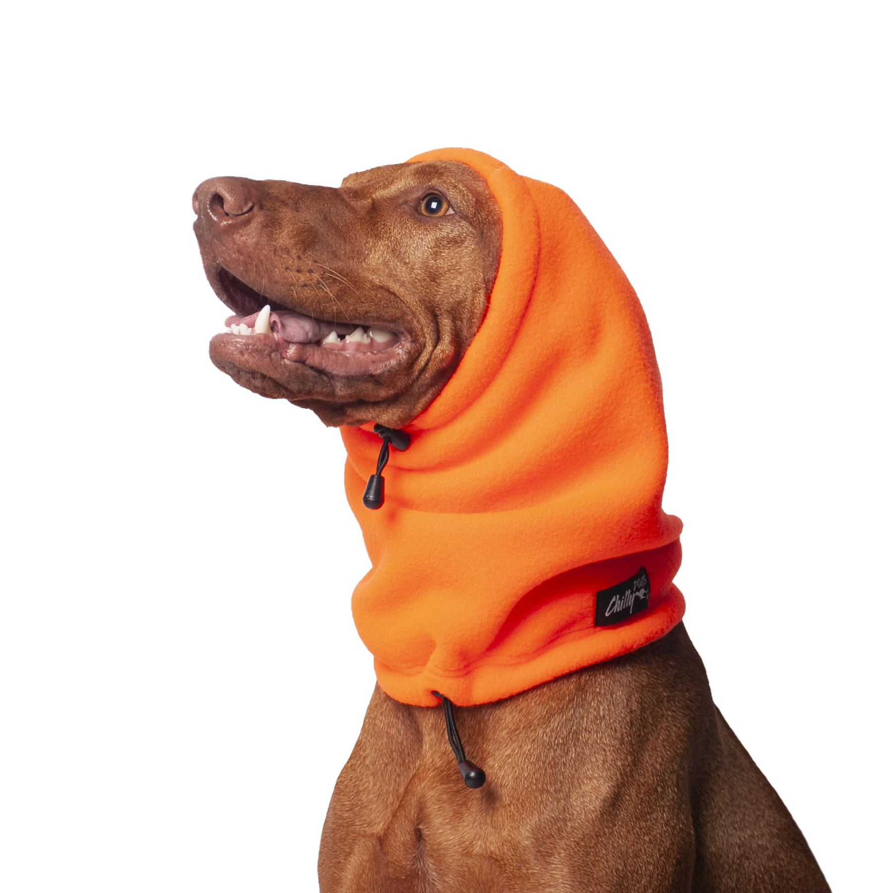 Chilly Dogs Head Muff STANDARD Gr. L, Blaze Orange