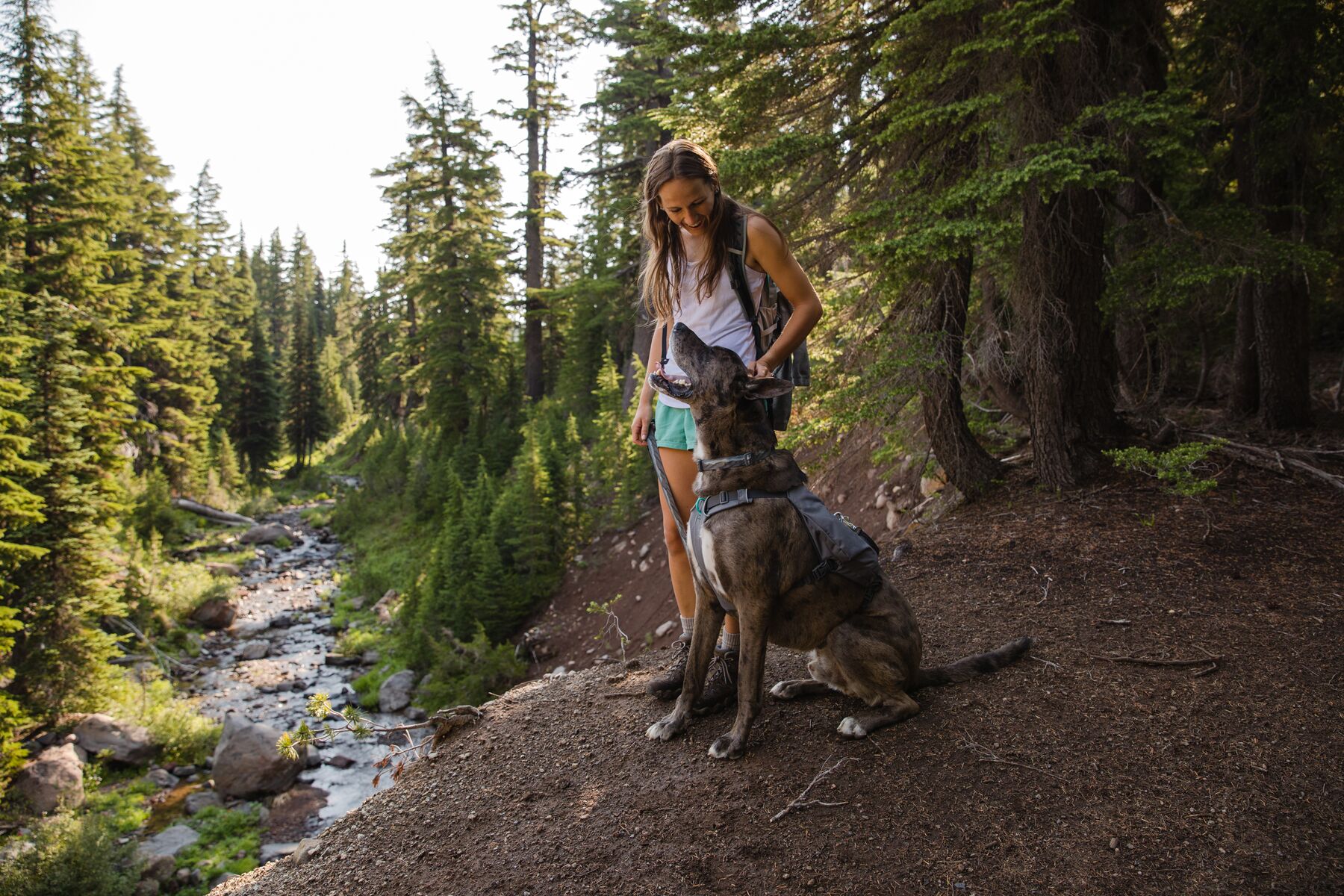 RuffWear Switchbak™ Harness Granite Grey