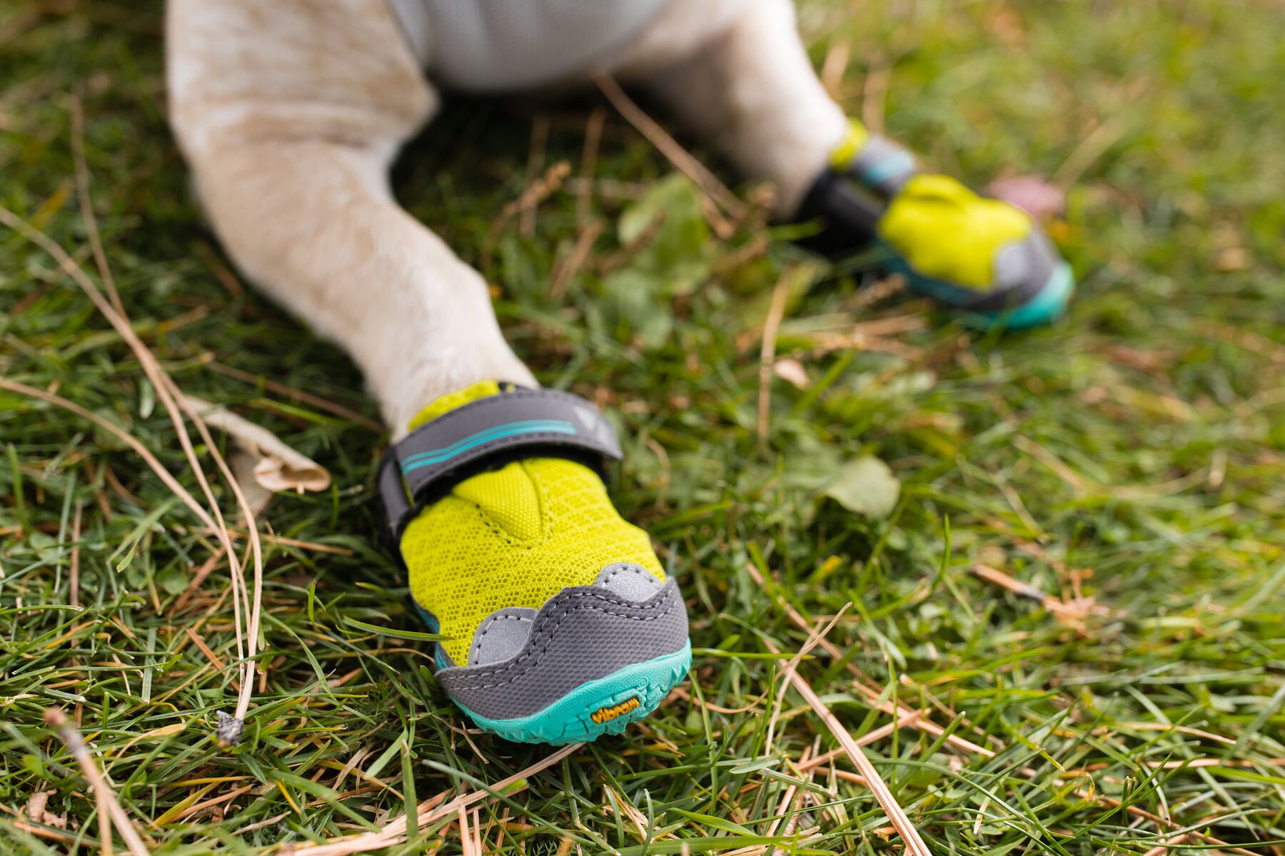 RuffWear Grip Trex™ Boots - set of 2 - Lichen Green