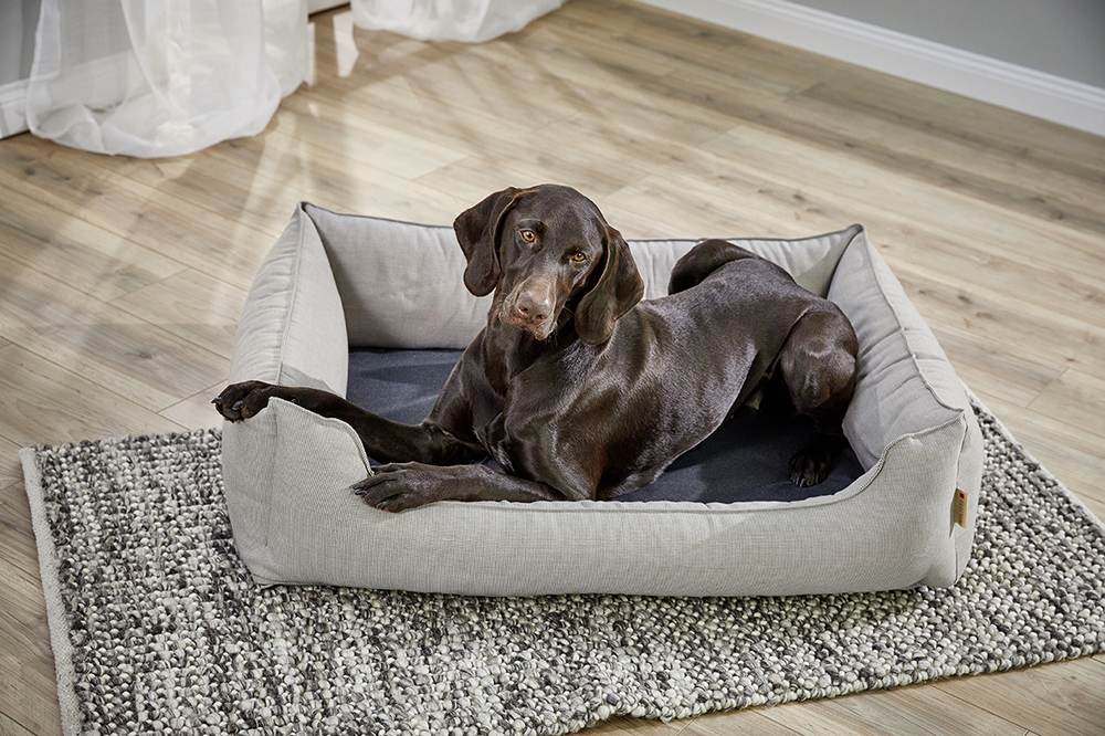 Wolters Dog Lounge Noble Stripes