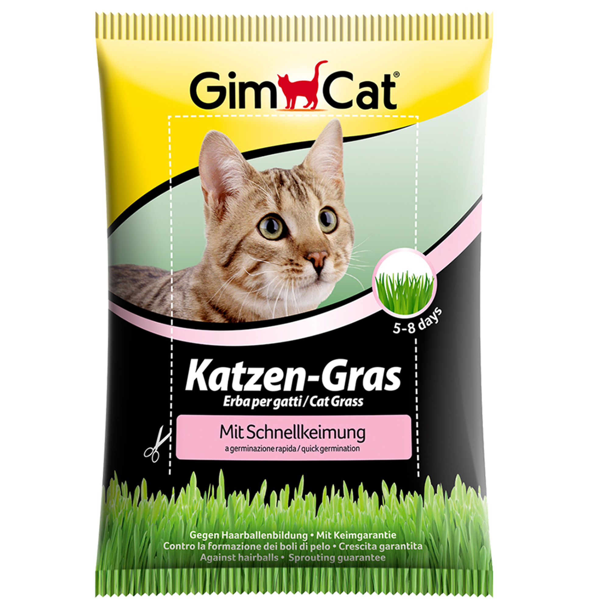 GimCat Katzen-Gras mit Schnellkeimung 100g