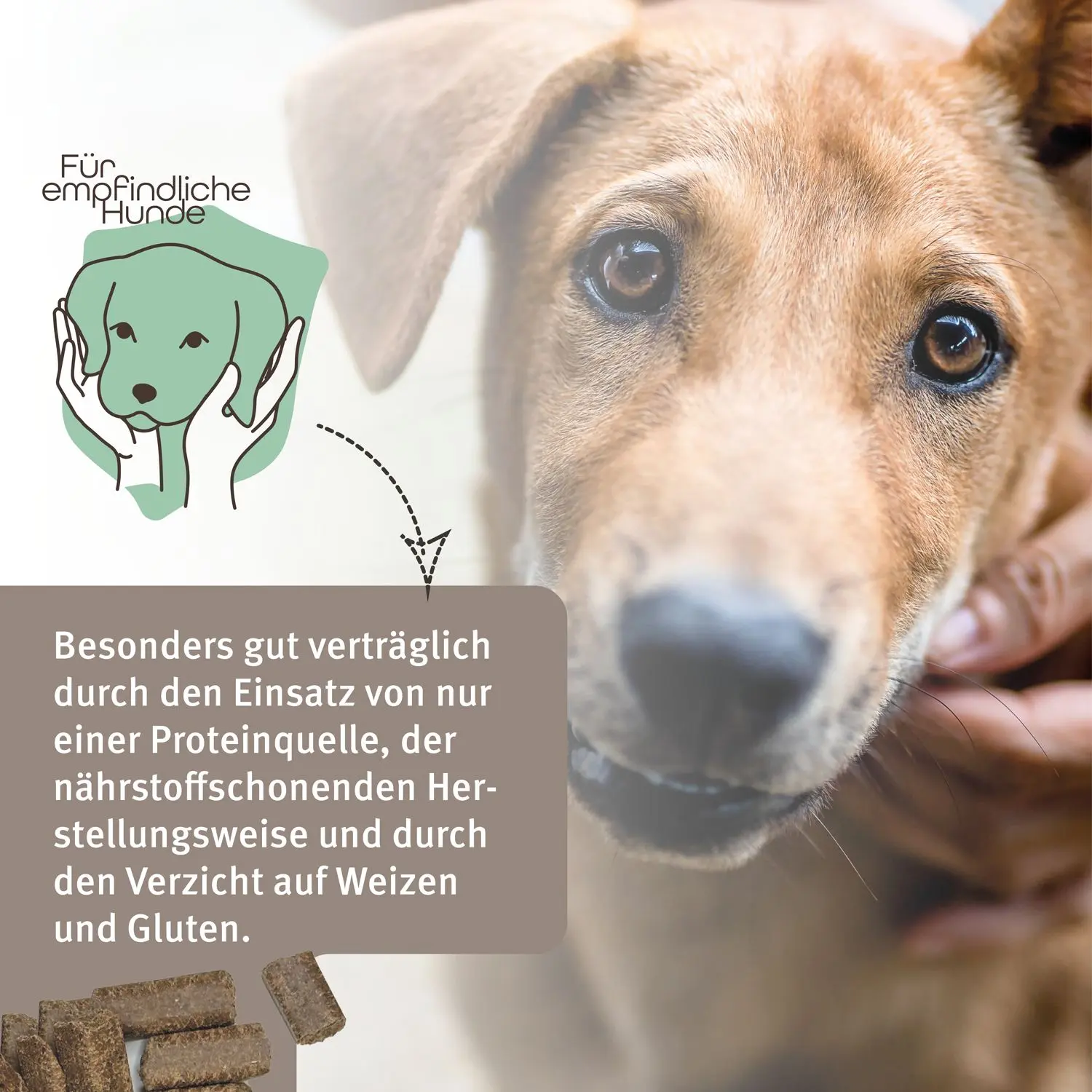 Markus Mühle Freiland Gans 5kg