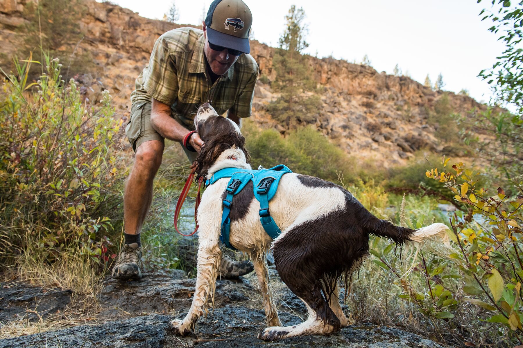 Ruffwear Web Master Harness Blue Dusk