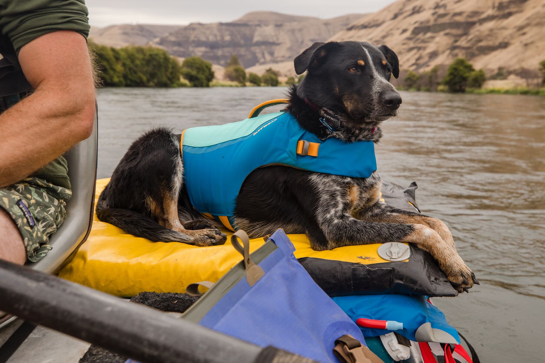 RuffWear Float Coat™ Blue Dusk