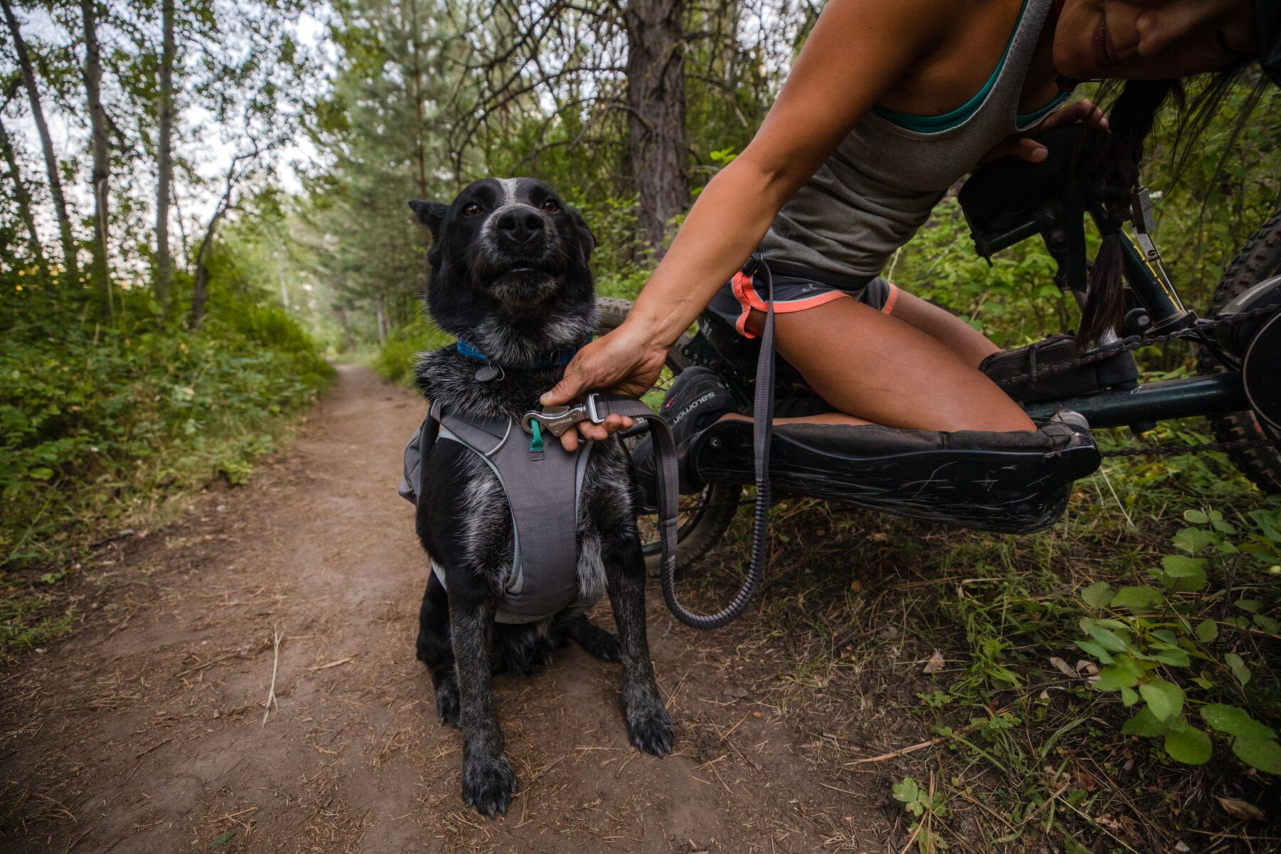 RuffWear Switchbak™ Harness Granite Grey