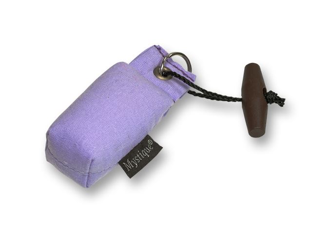 Mystique Mini Dummy Key case