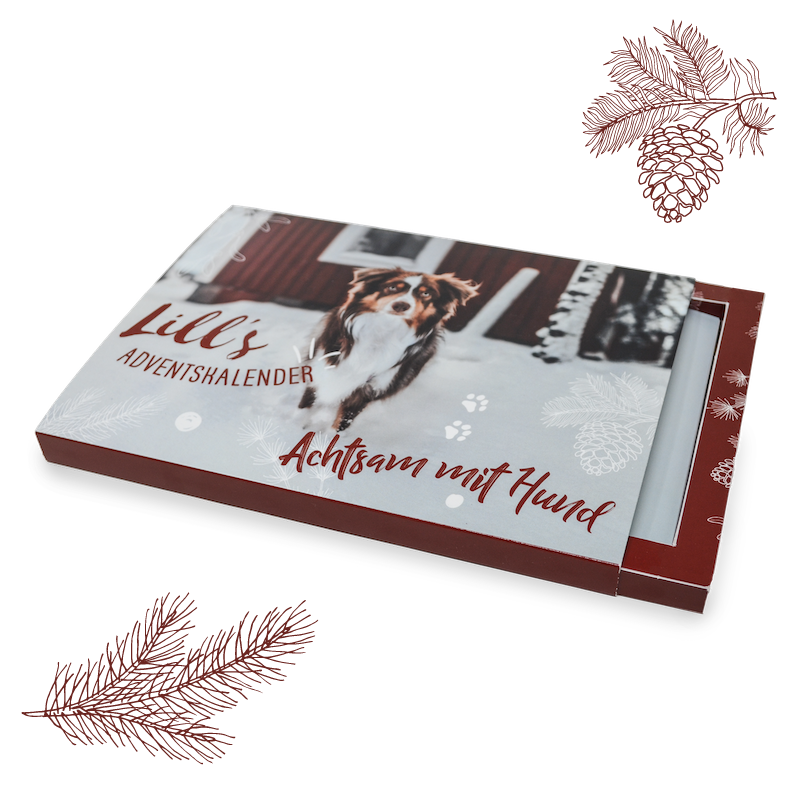 Lill's Adventskalender 'Achtsam mit Hund'