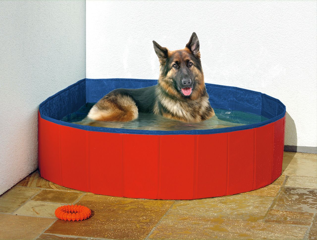 Karlie Doggy Pool blau/rot