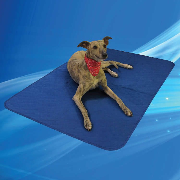 Aqua Coolkeeper Cooling Pet Pad/Blanket Pacific Blue