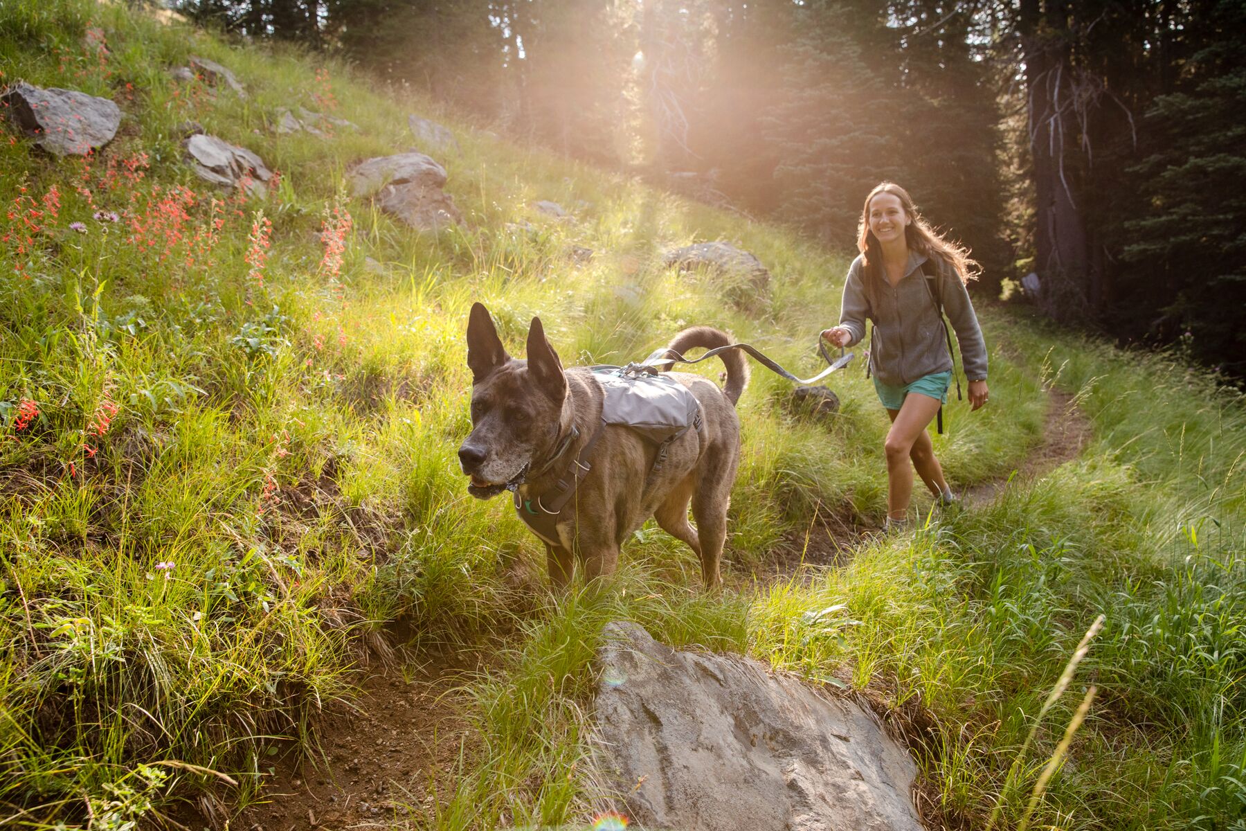 RuffWear Switchbak™ Harness Granite Grey