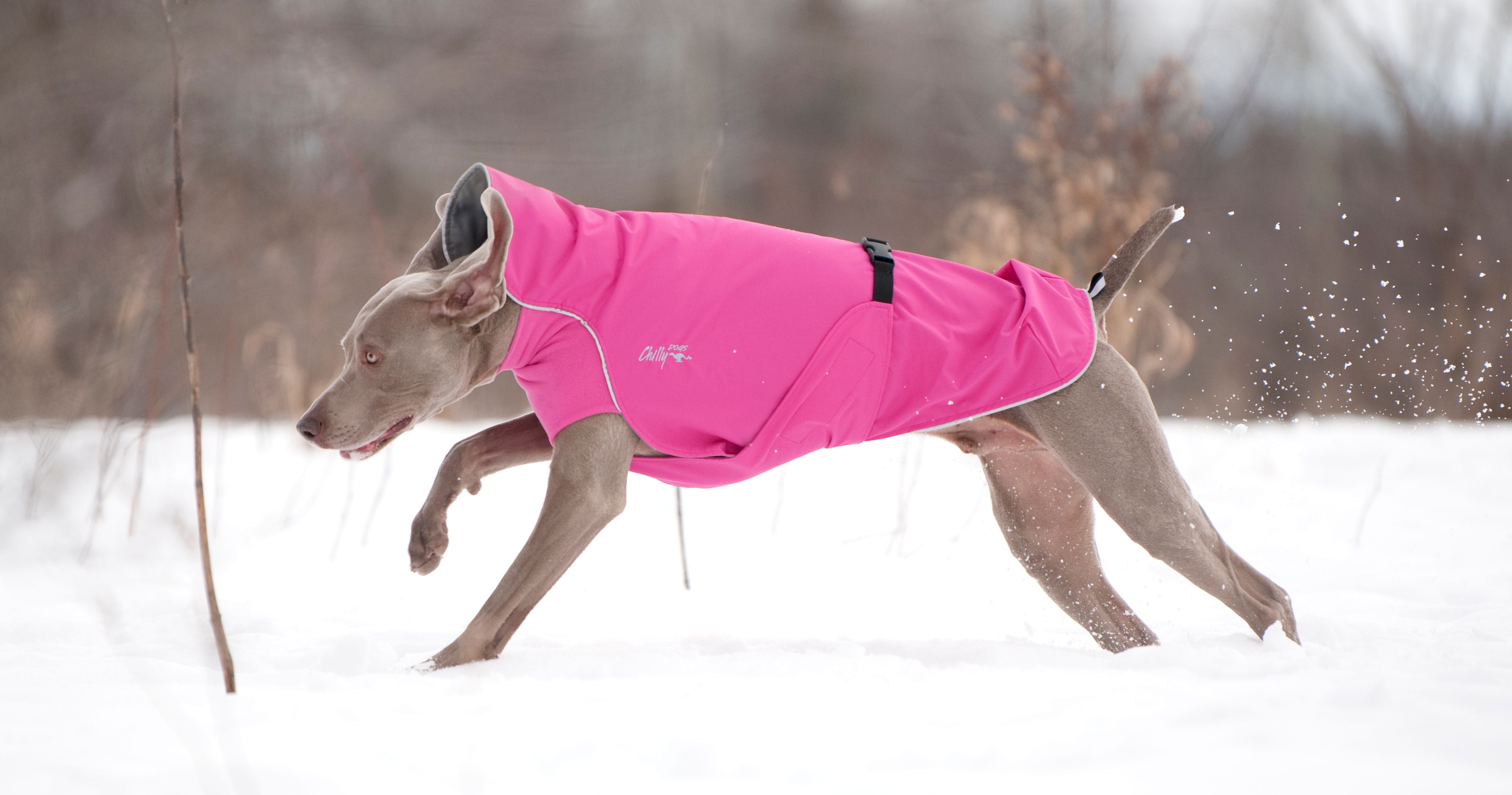 Chilly Dogs Harbour Slicker STANDARD Chilly Dogs Harbour Slicker STANDARD