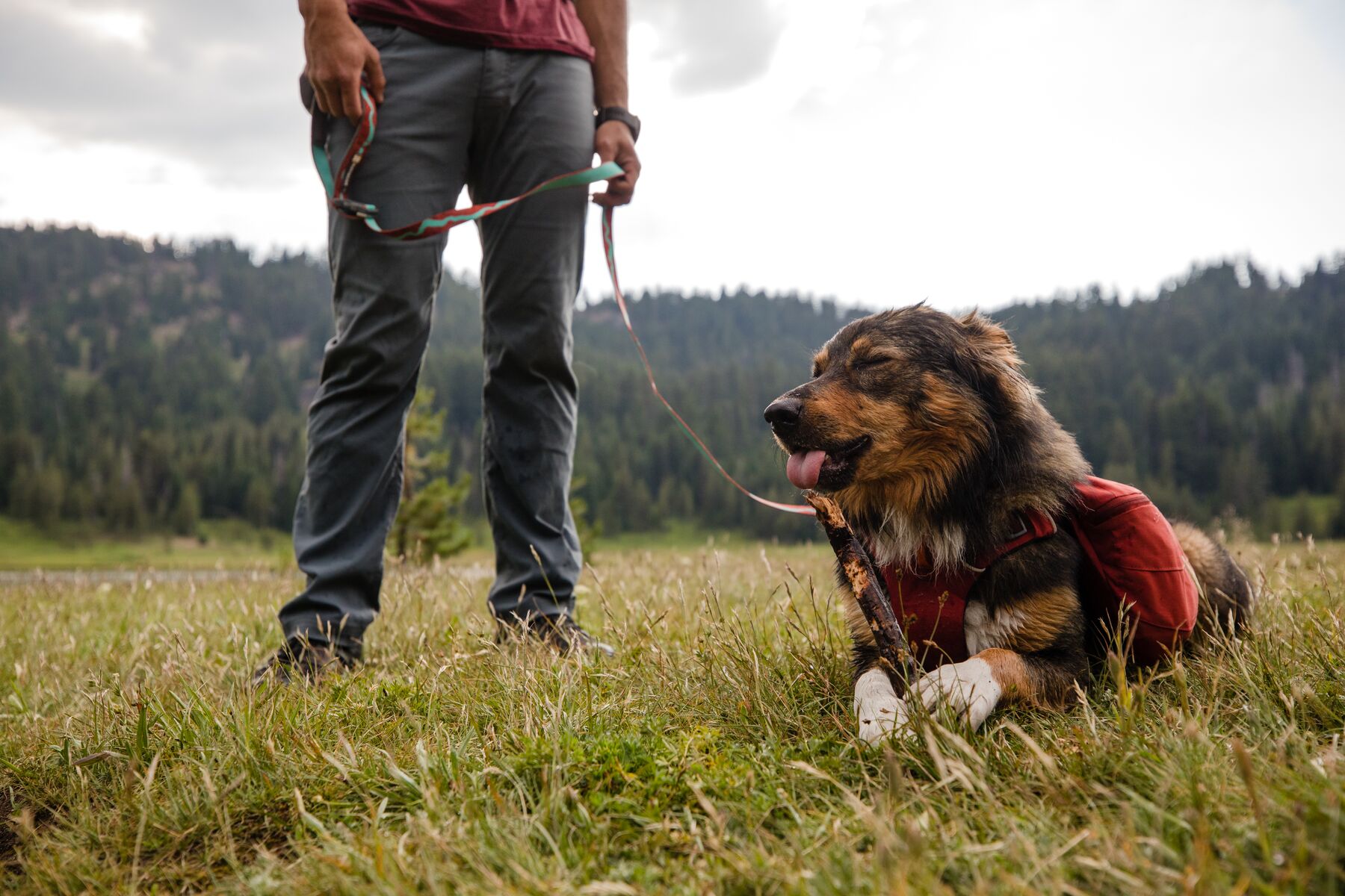 RuffWear Front Range™ Day Pack Red Clay