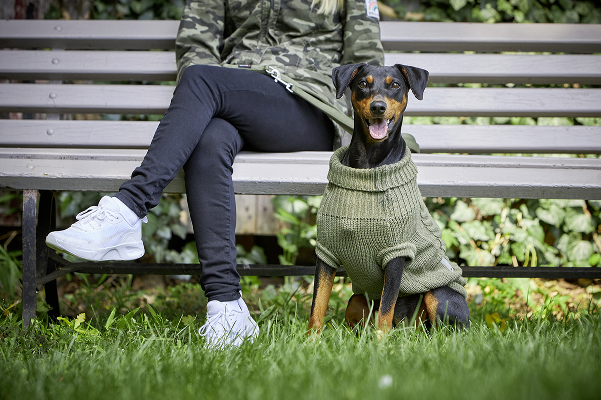 Wolters Zopf-Strickpullover