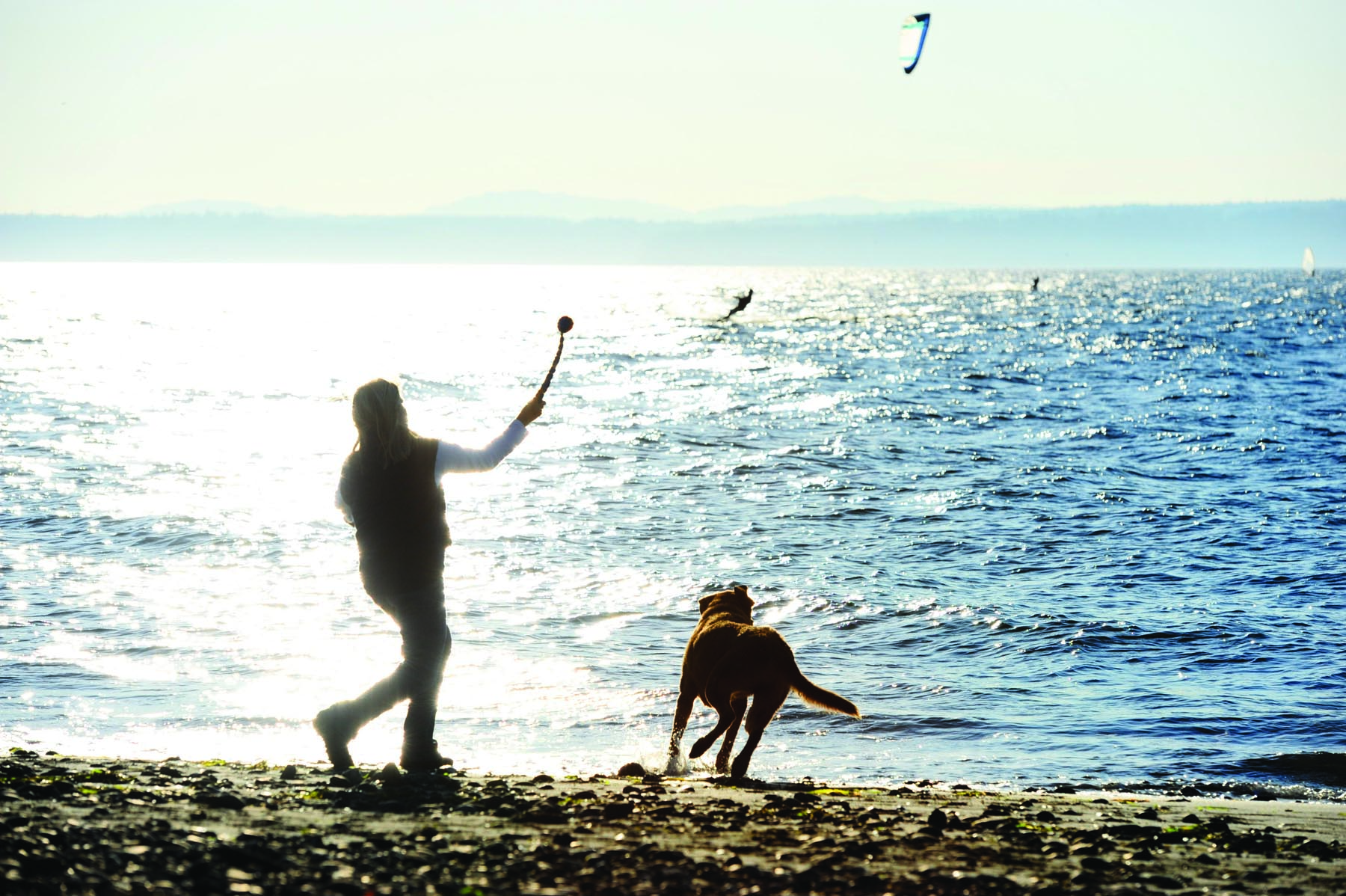 Chuckit Sport Ball Launcher