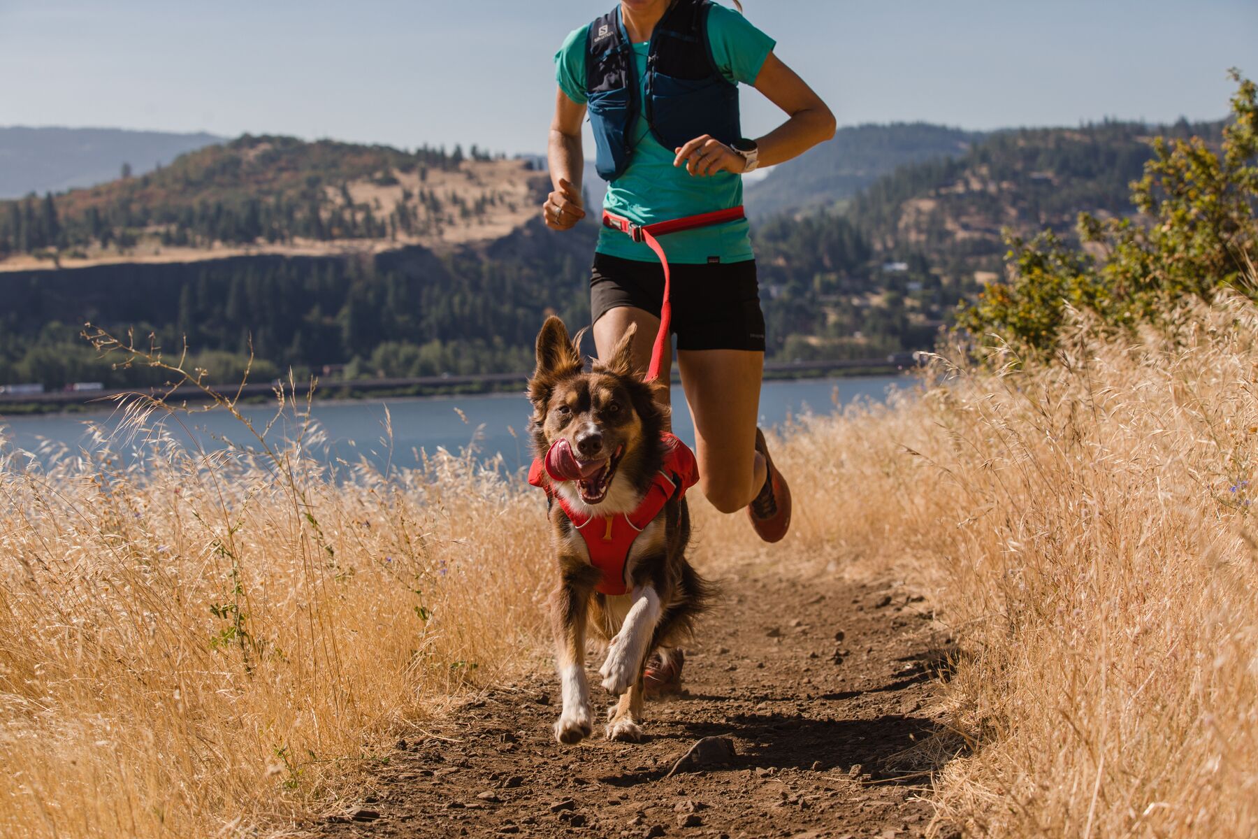 RuffWear Switchbak™ Harness Red Sumac