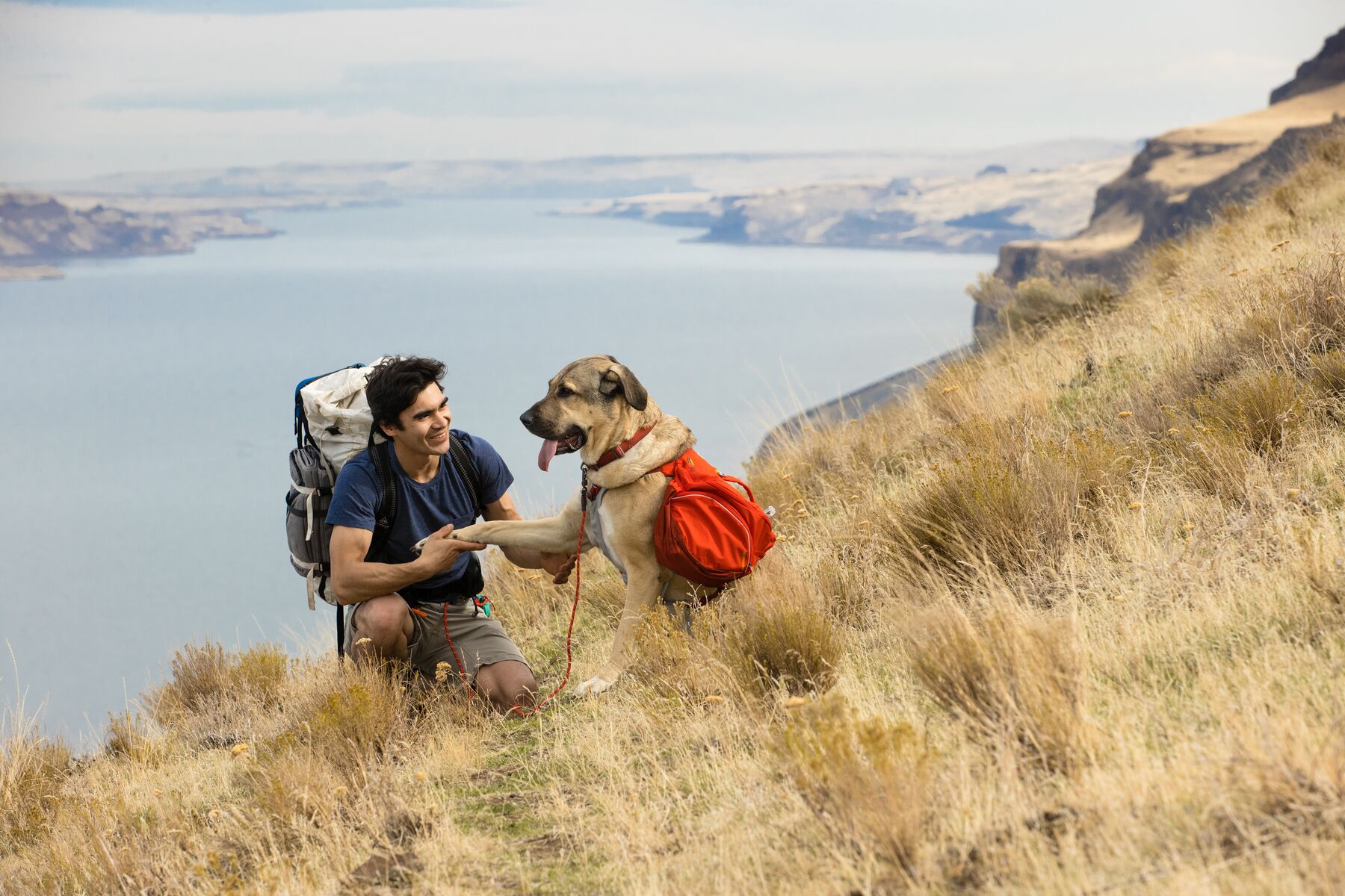 Ruffwear Palisades Pack Red Sumac Ruffwear Palisades Pack Red Sumac