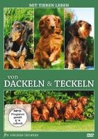 DVD von Dackeln & Teckeln [Ferdinand Teubner , Peter Fischer]