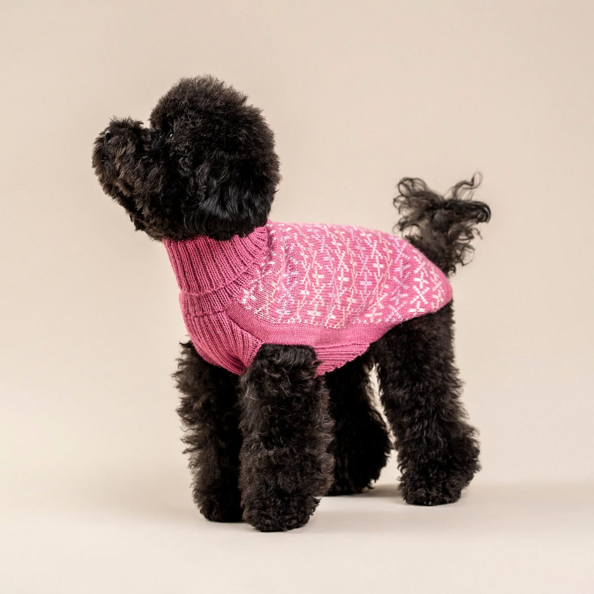 Alqo Wasi Hunde-Pullover Signs Pink