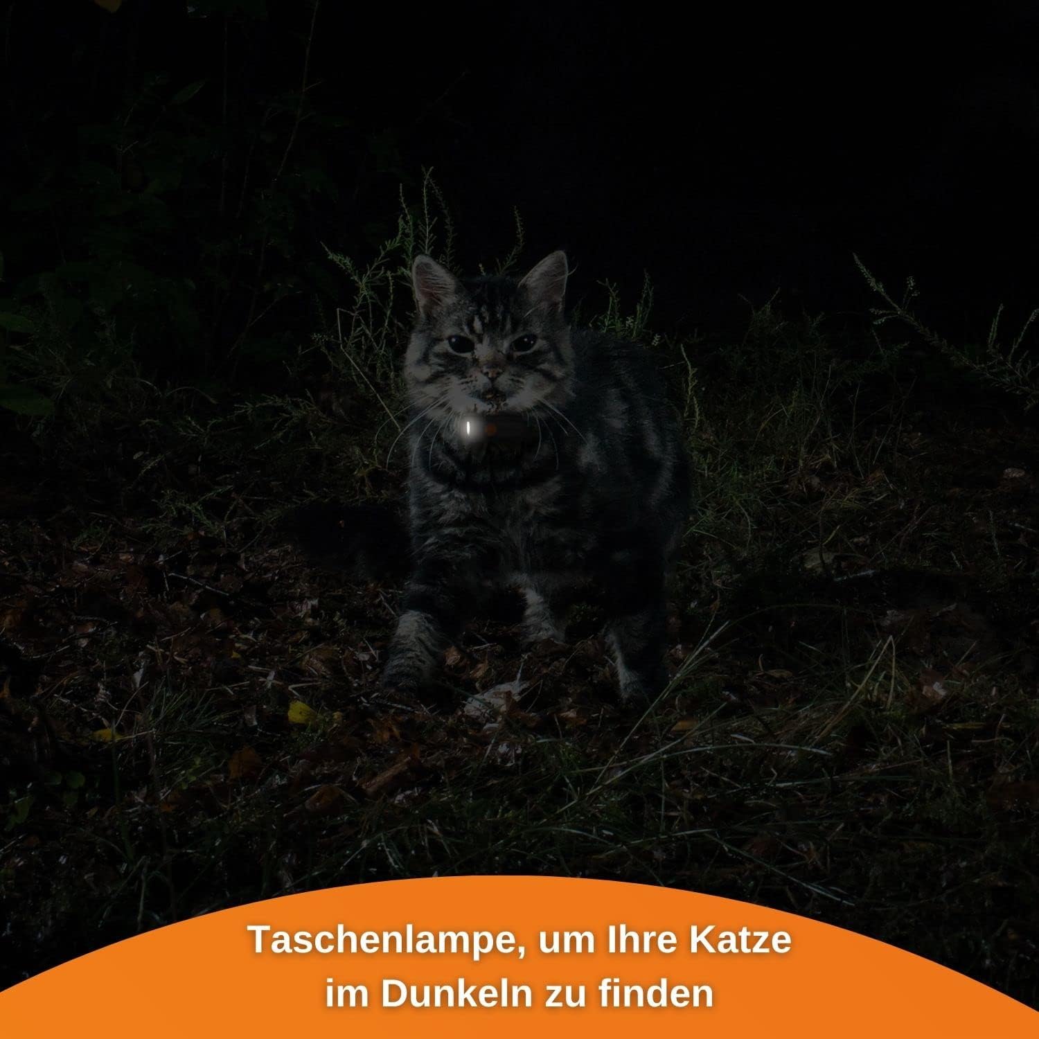Weenect GPS-Tracker XS Cats