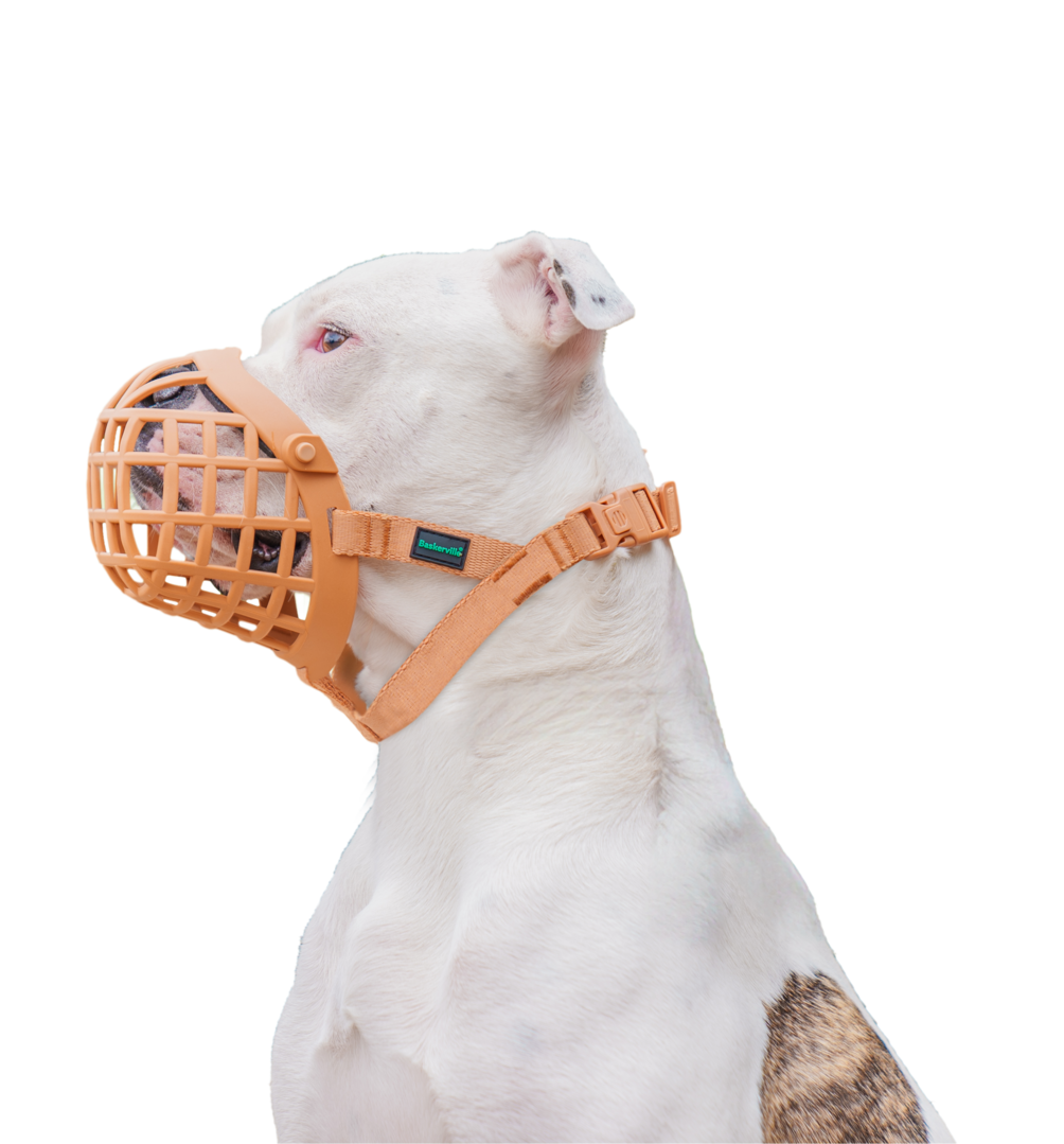 CoA Maulkorb Baskerville Wide Fit Gr. 2