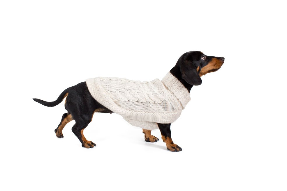 Alqo Wasi Hunde-Pullover Suasi Knit White L