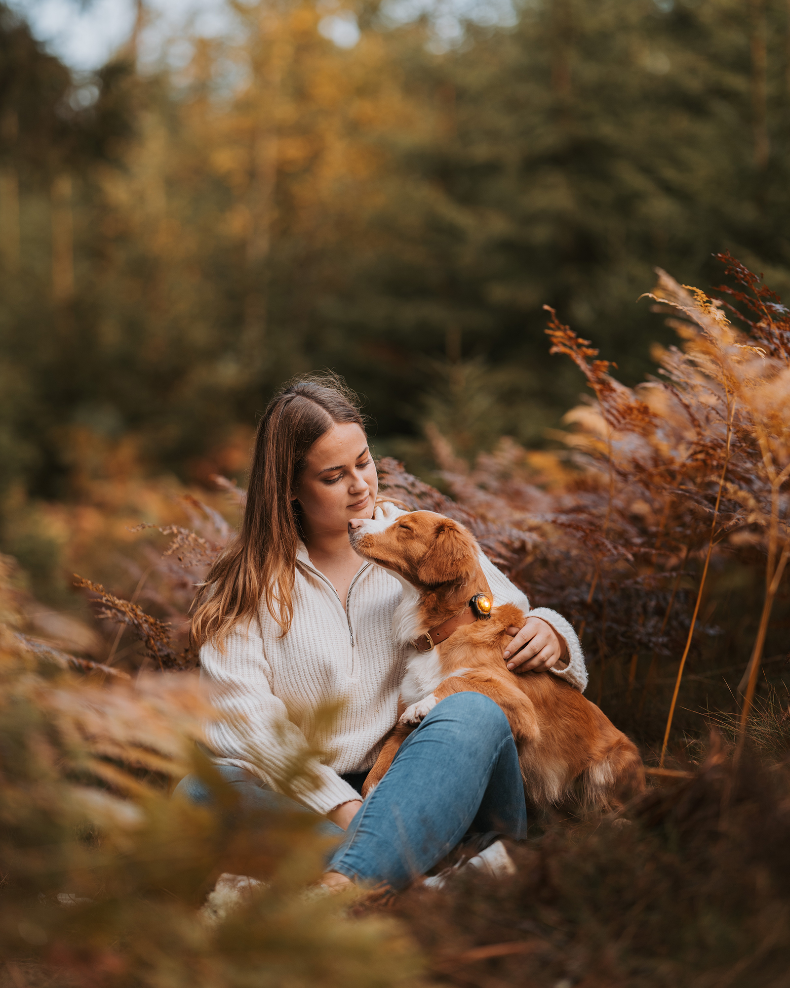 Orbiloc Dog Dual Light amber