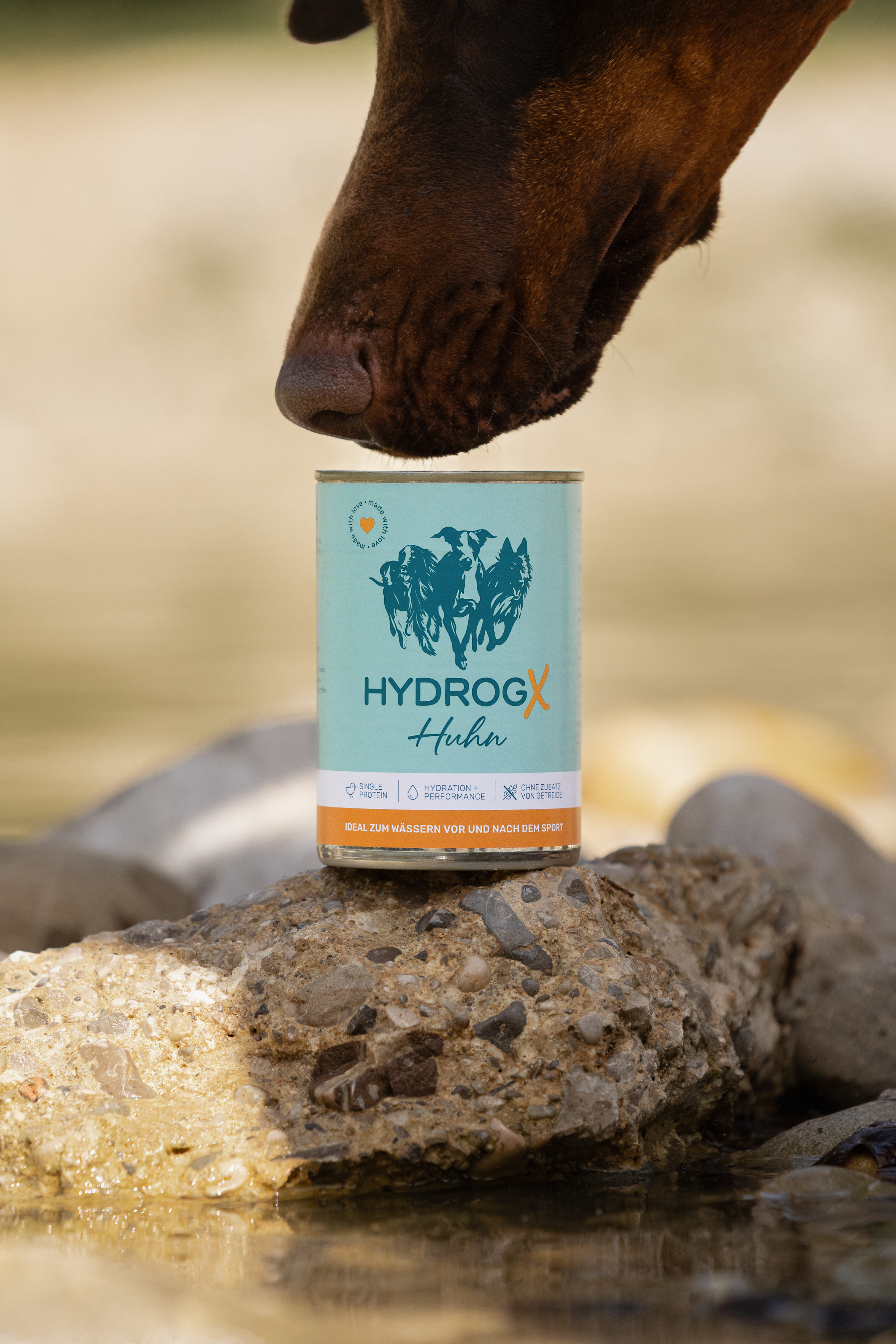 HydrogX 450g
