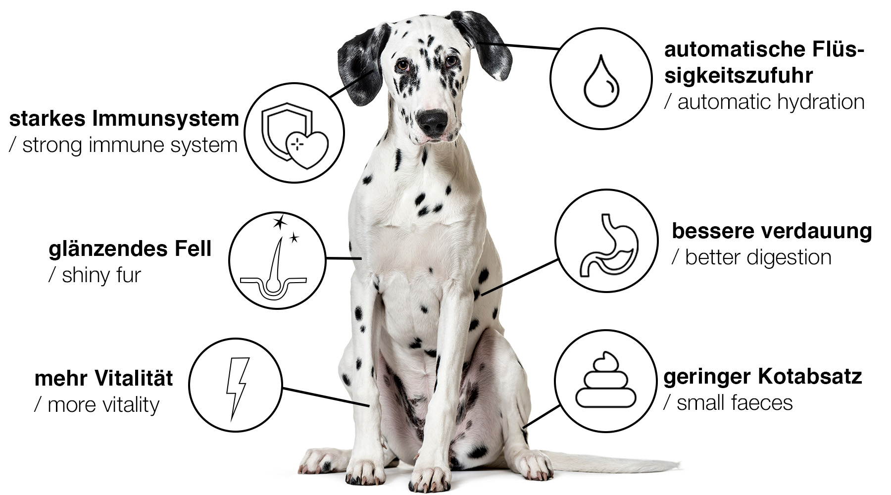 Tackenberg Fruchtteller mit Lachsöl 500g