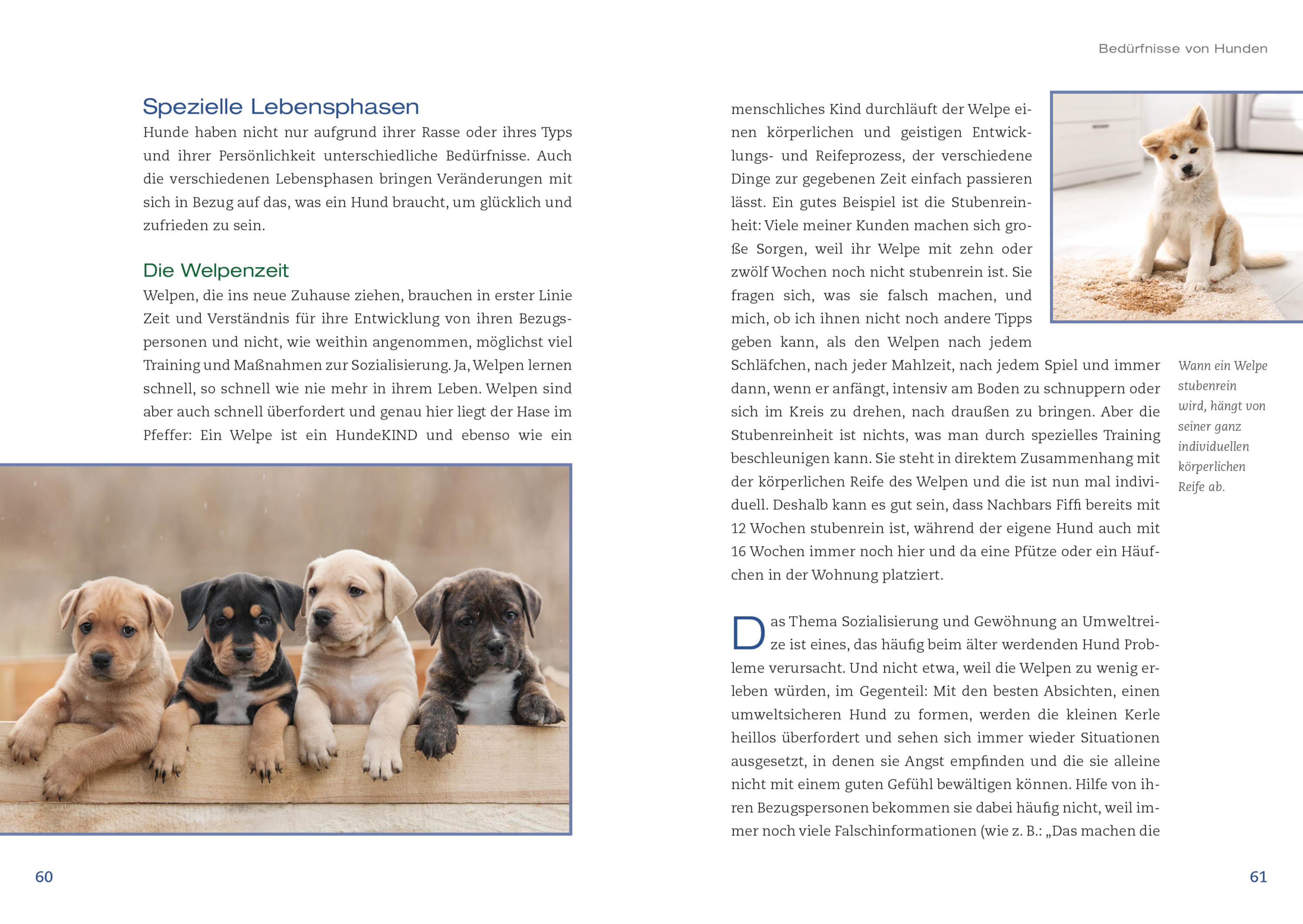 Animal Learn - Hunde achtsam führen [Maria Rehberger]