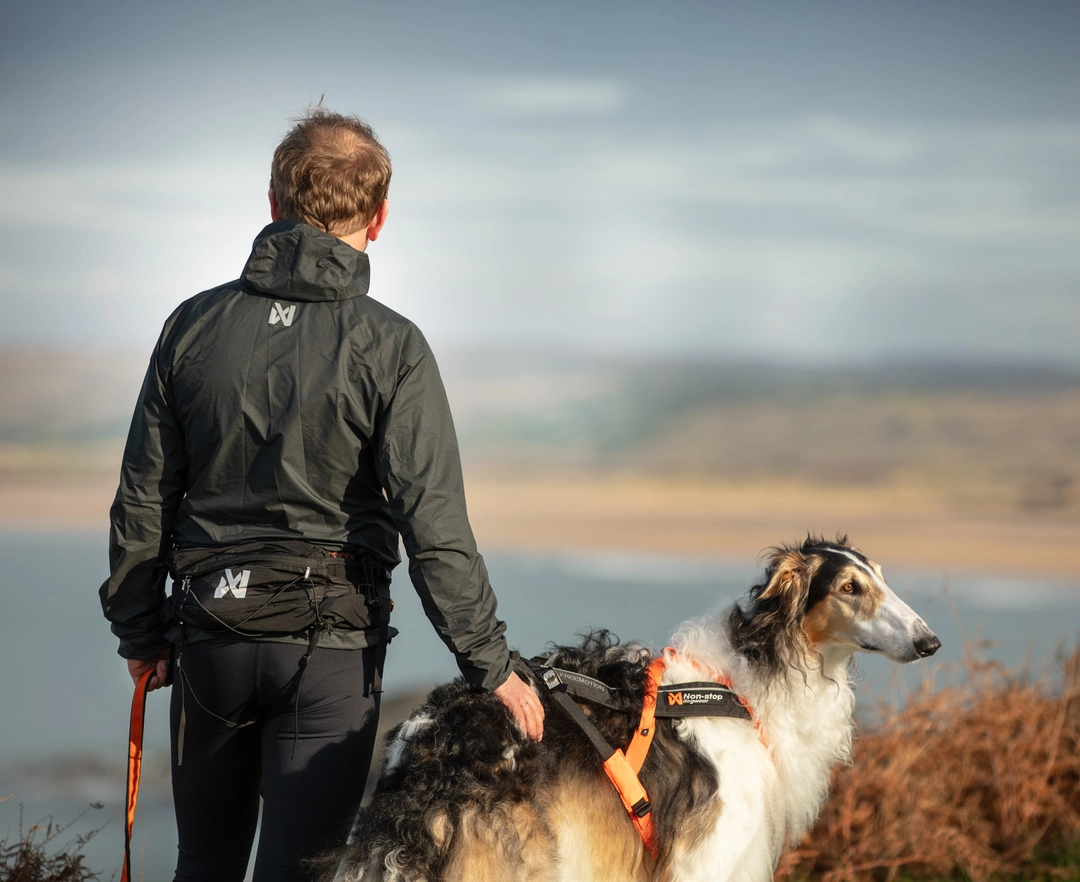 Non-stop dogwear Trail Light Belt