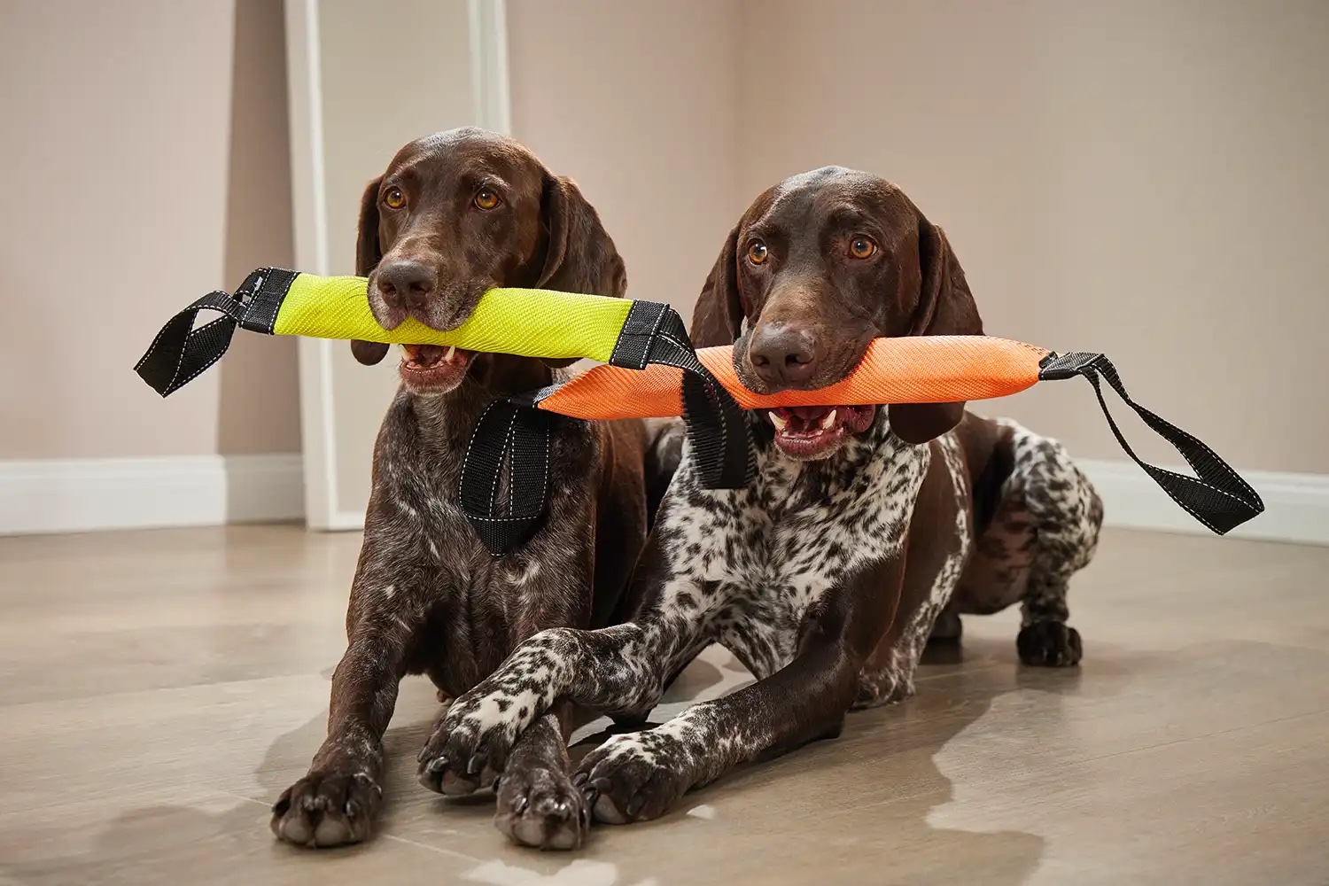 Wolters Apportierdummy Beißwurst extra dicker Horst