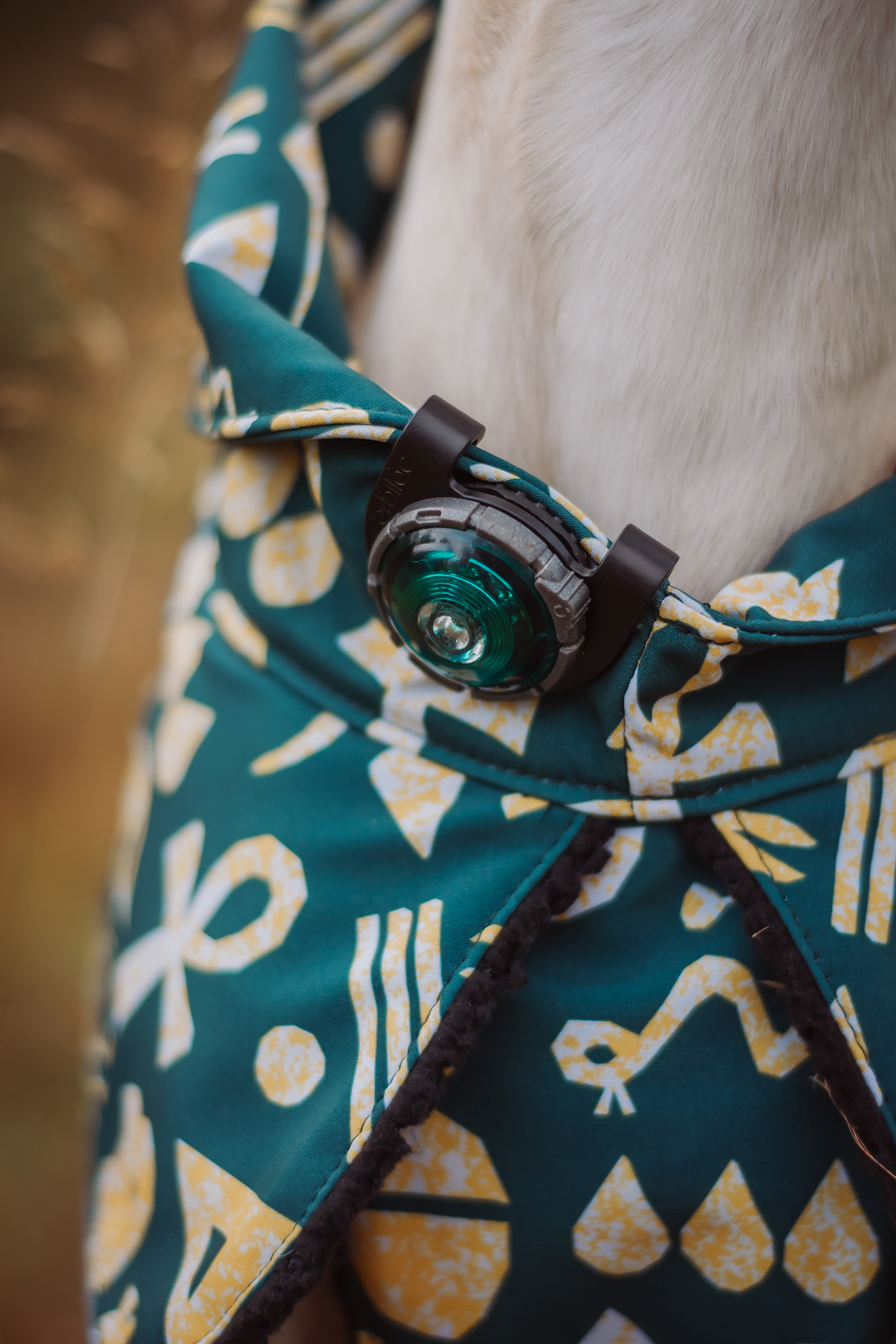 Orbiloc Dog Dual Light turquoise