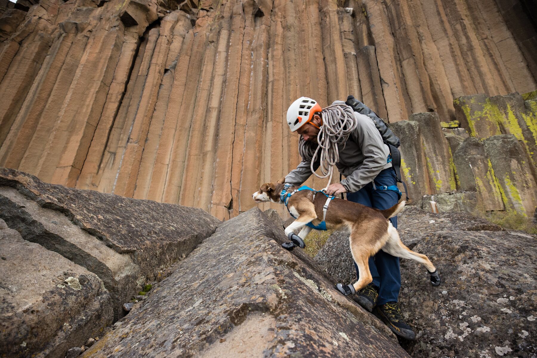 RuffWear Flagline™ Harness Blue Dusk